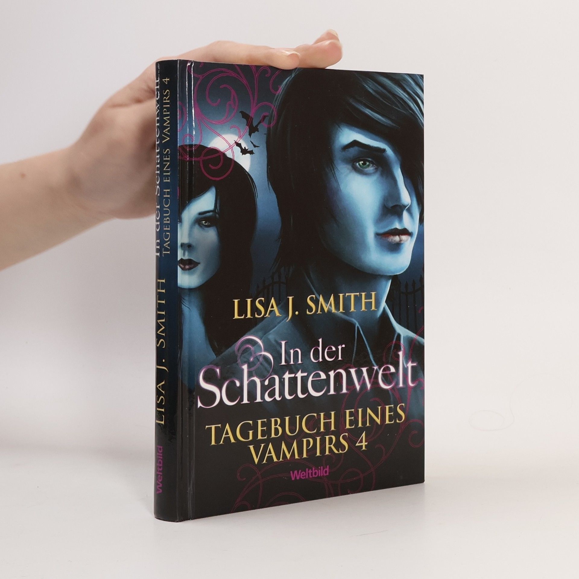 Lisa J. Smith Tagebuch eines Vampirs 4. In der Schattenwelt