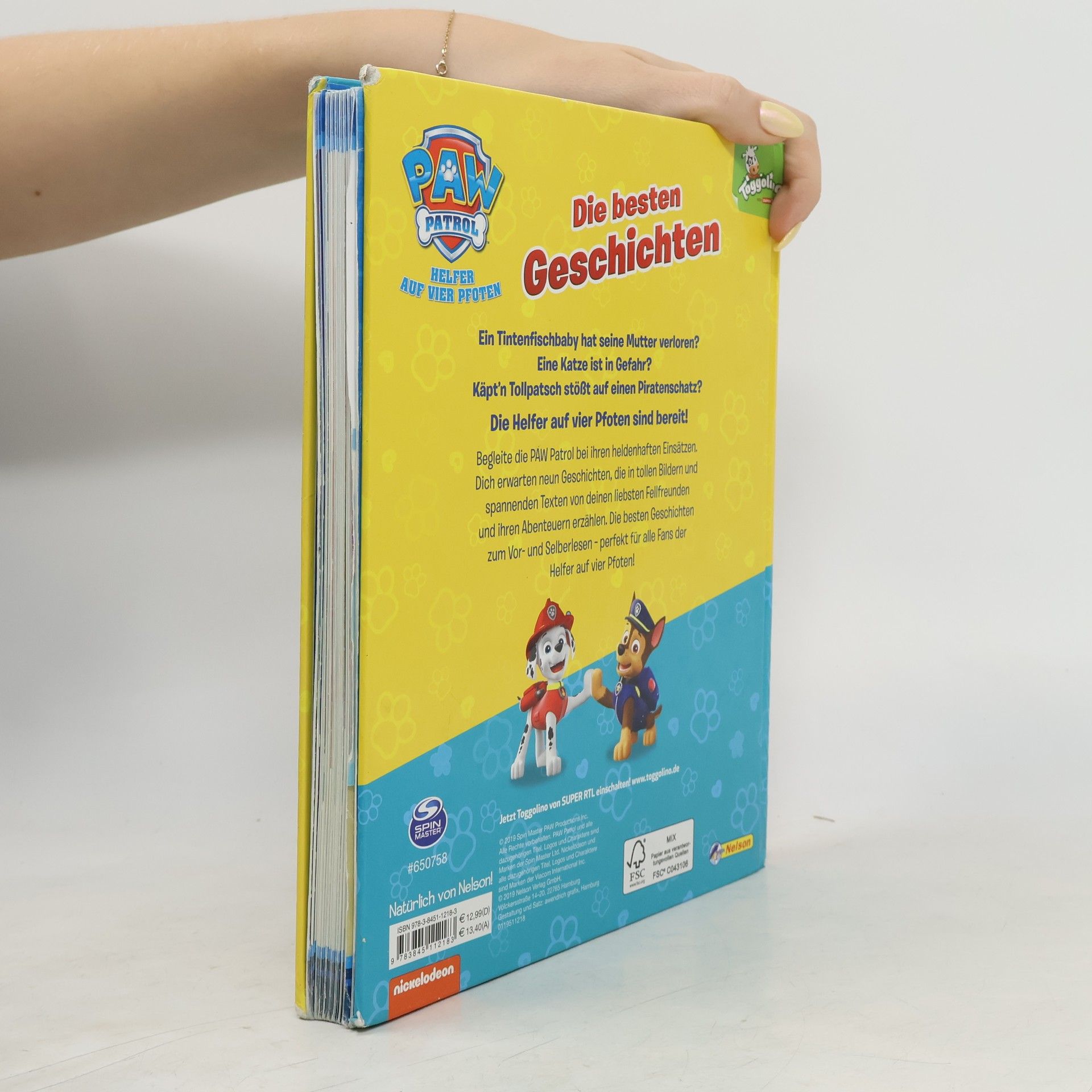 PAW Patrol, Helfer auf vier Pfoten - die besten Geschichten
