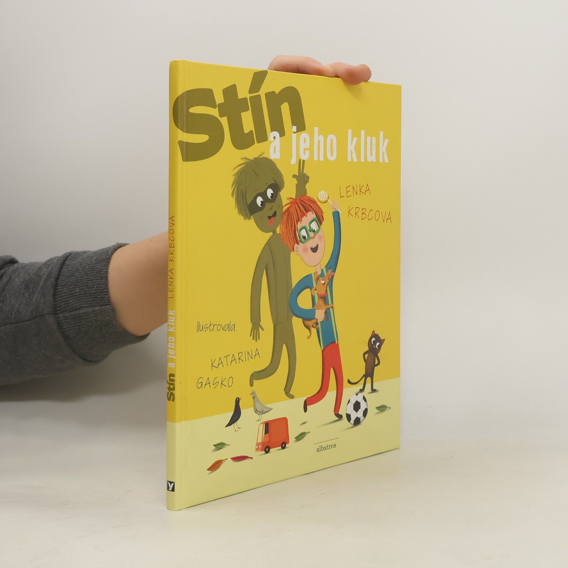 Lenka Krbcová Stín a jeho kluk