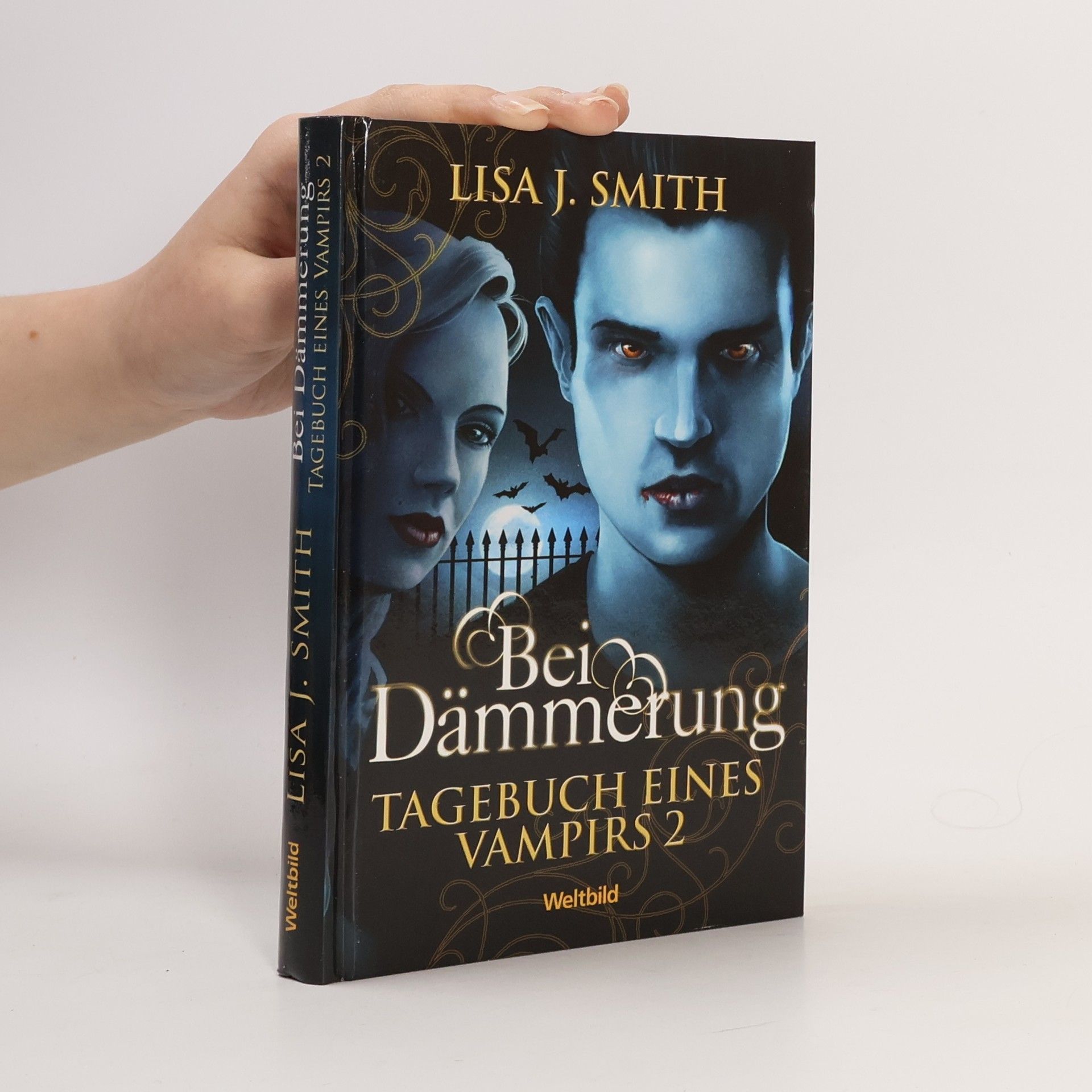 Lisa Jane Smith Tagebuch eines Vampirs 2. Bei Dämmerung