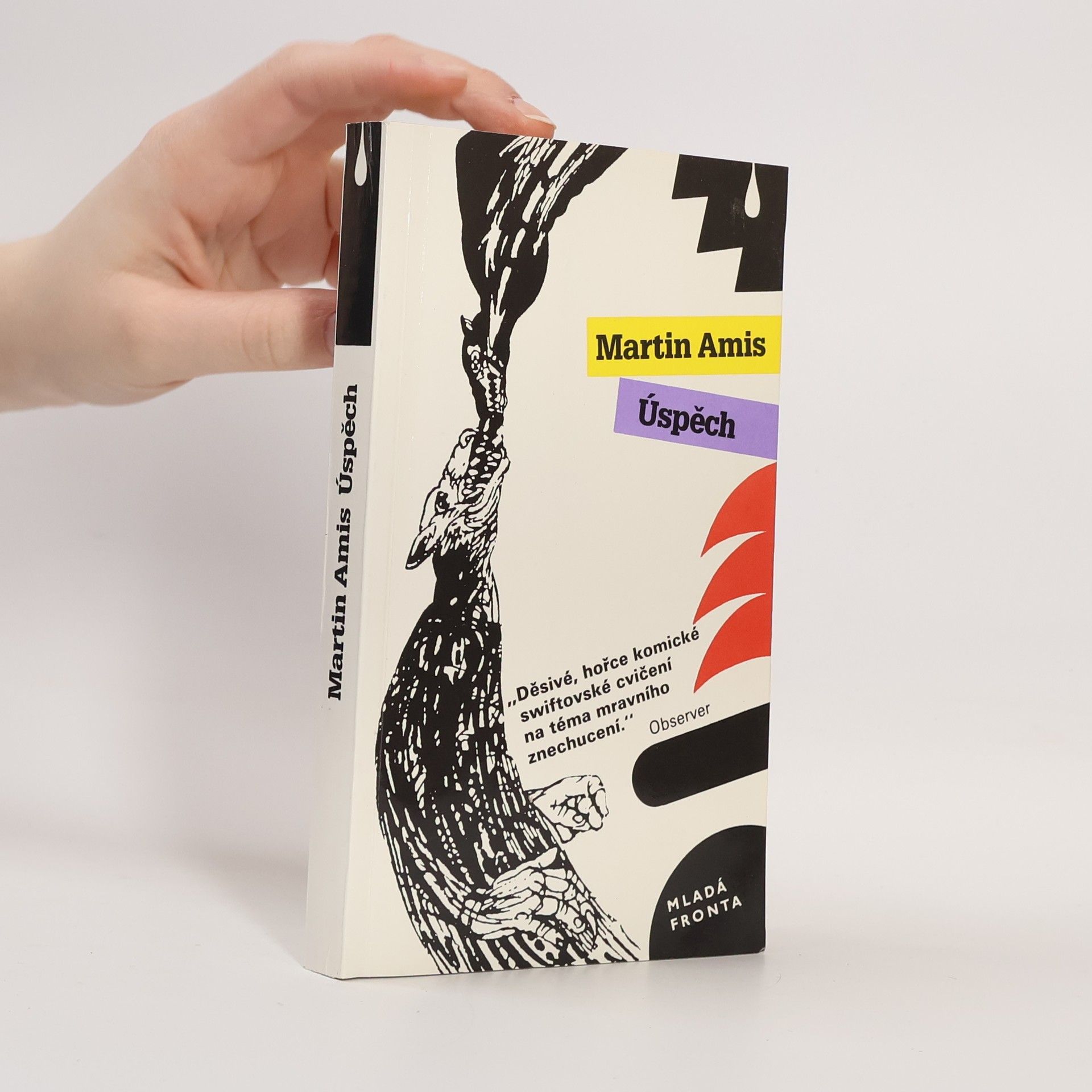 Martin Amis Úspěch