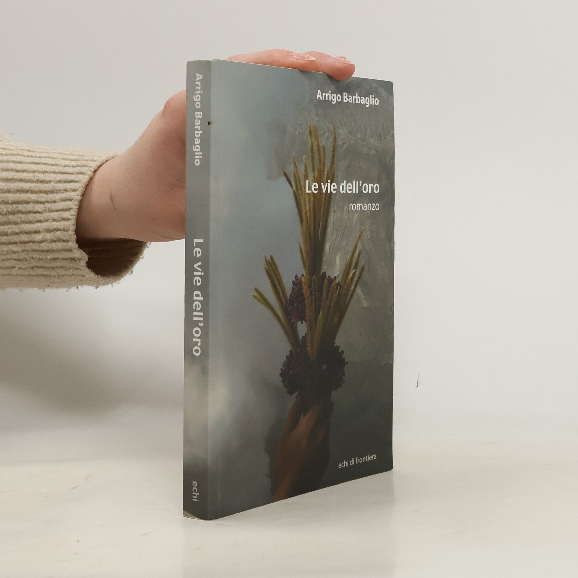 Arrigo Barbaglio Le vie dell'oro
