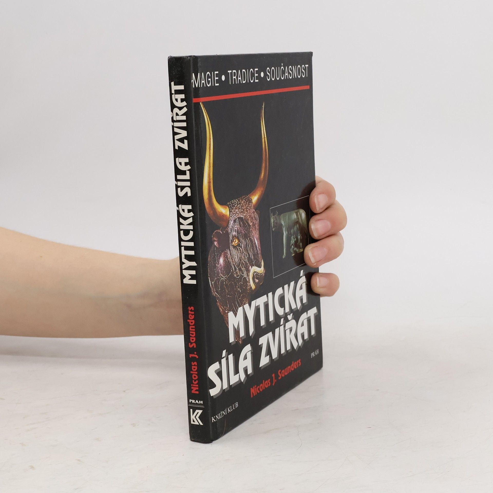 Nicholas J. Saunders Mytická síla zvířat