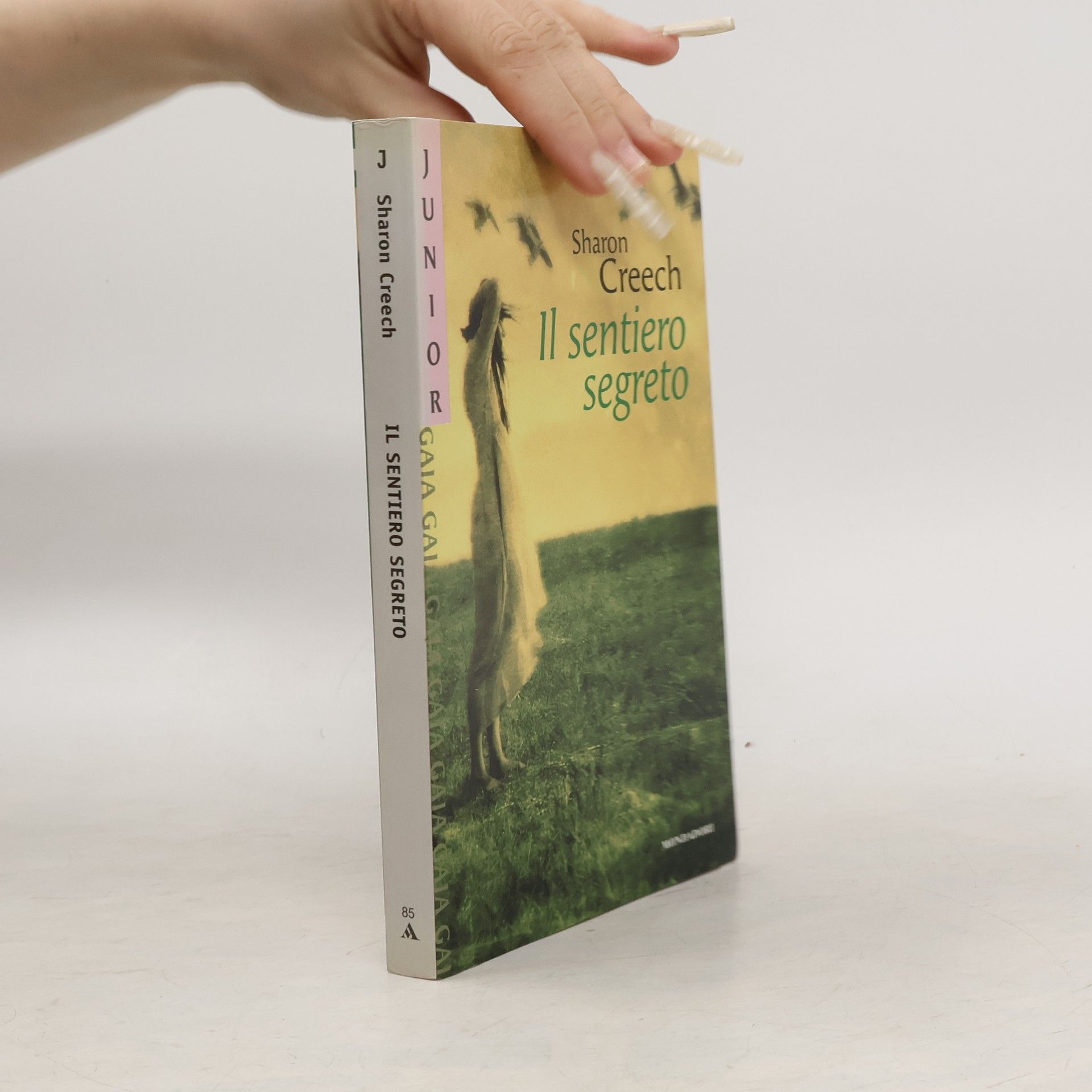 Sharon Creech Il sentiero segreto