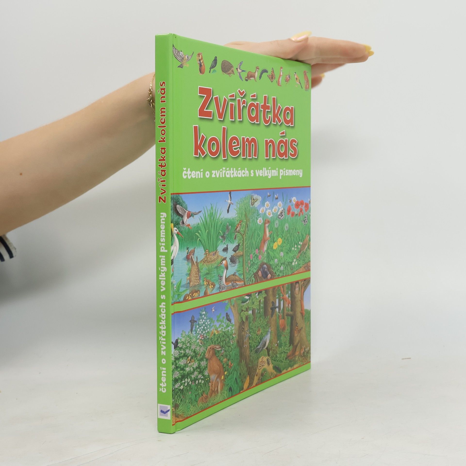 Kolektiv autorů Zvířátka kolem nás : čtení o zvířátkách s velkými písmeny
