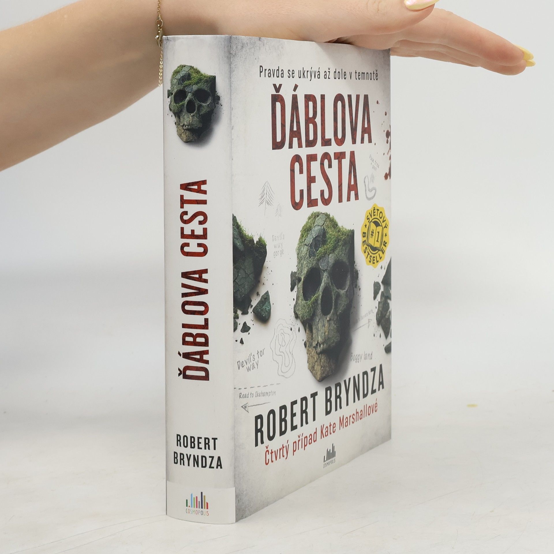 Robert Bryndza Ďáblova cesta