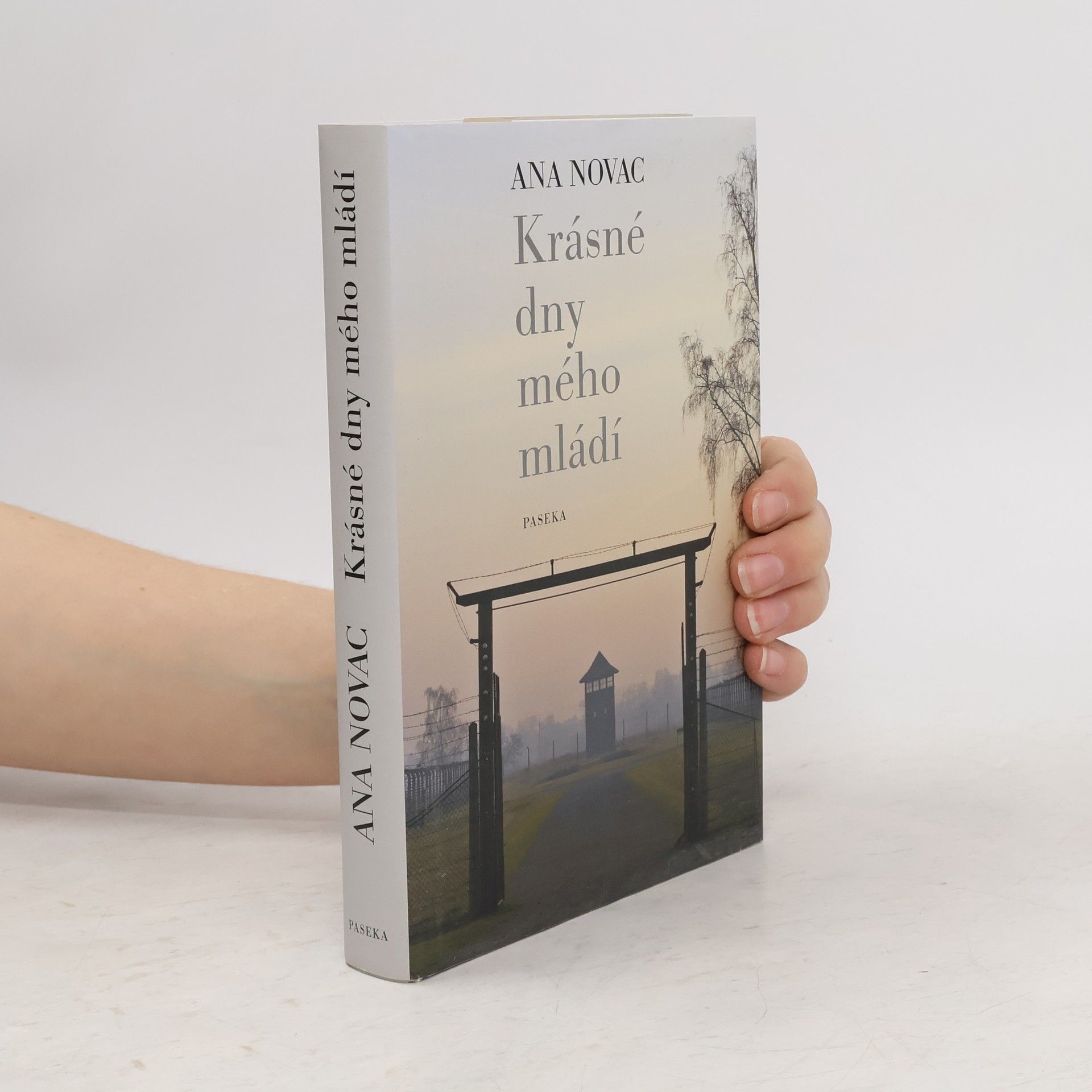 Ana Novac Krásné dny mého mládí