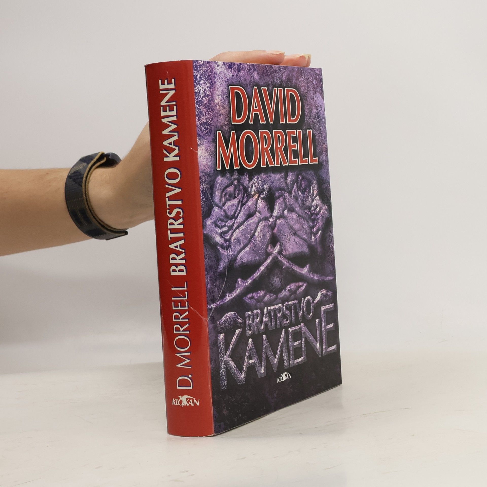 David Morrell Bratrstvo kamene
