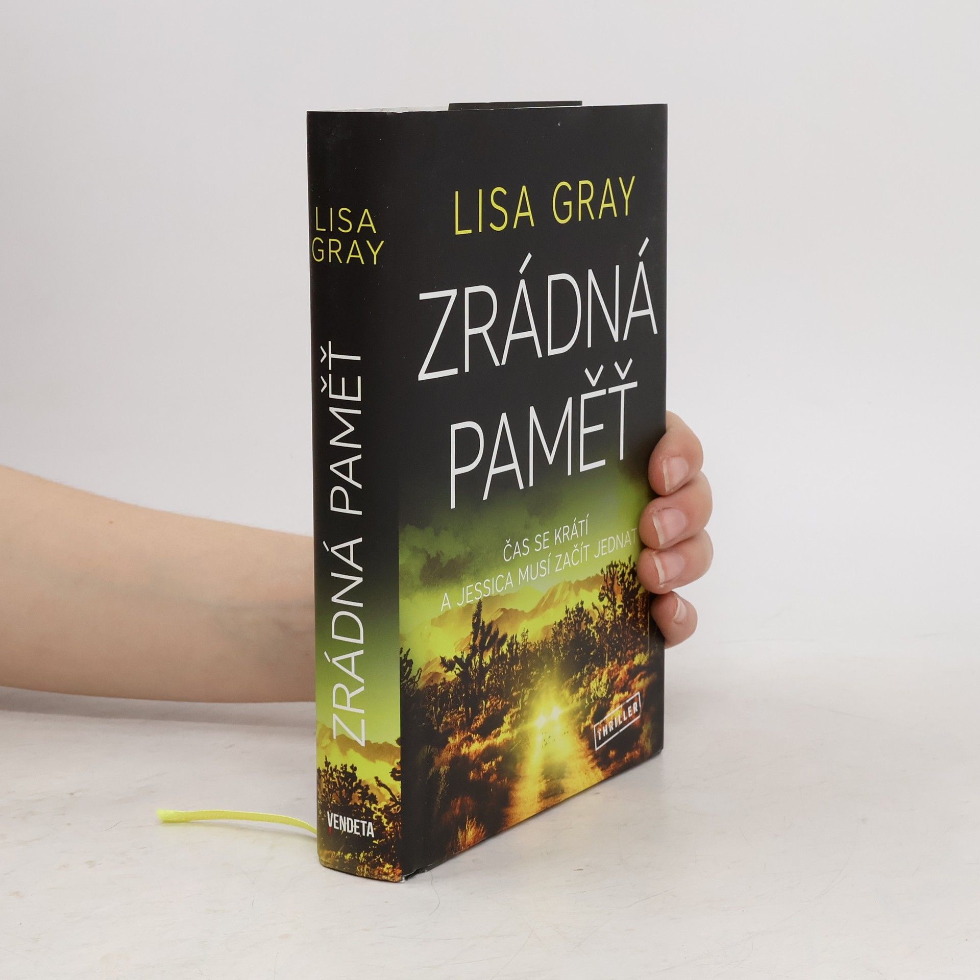 Lisa Gray Zrádná paměť