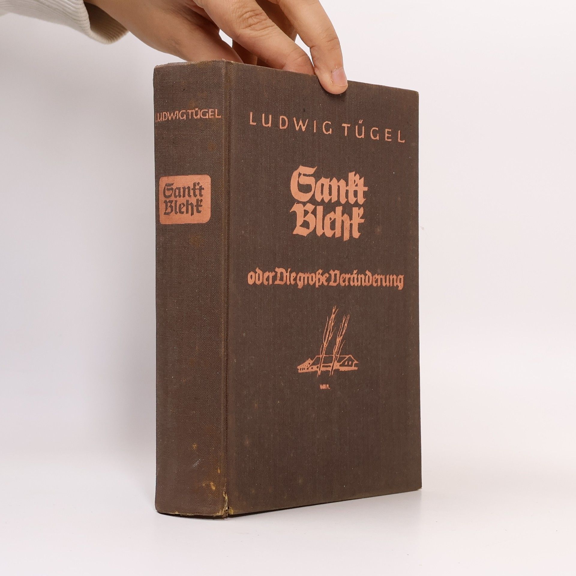 Ludwig Tügel Sankt Blehk oder Die große Veränderung