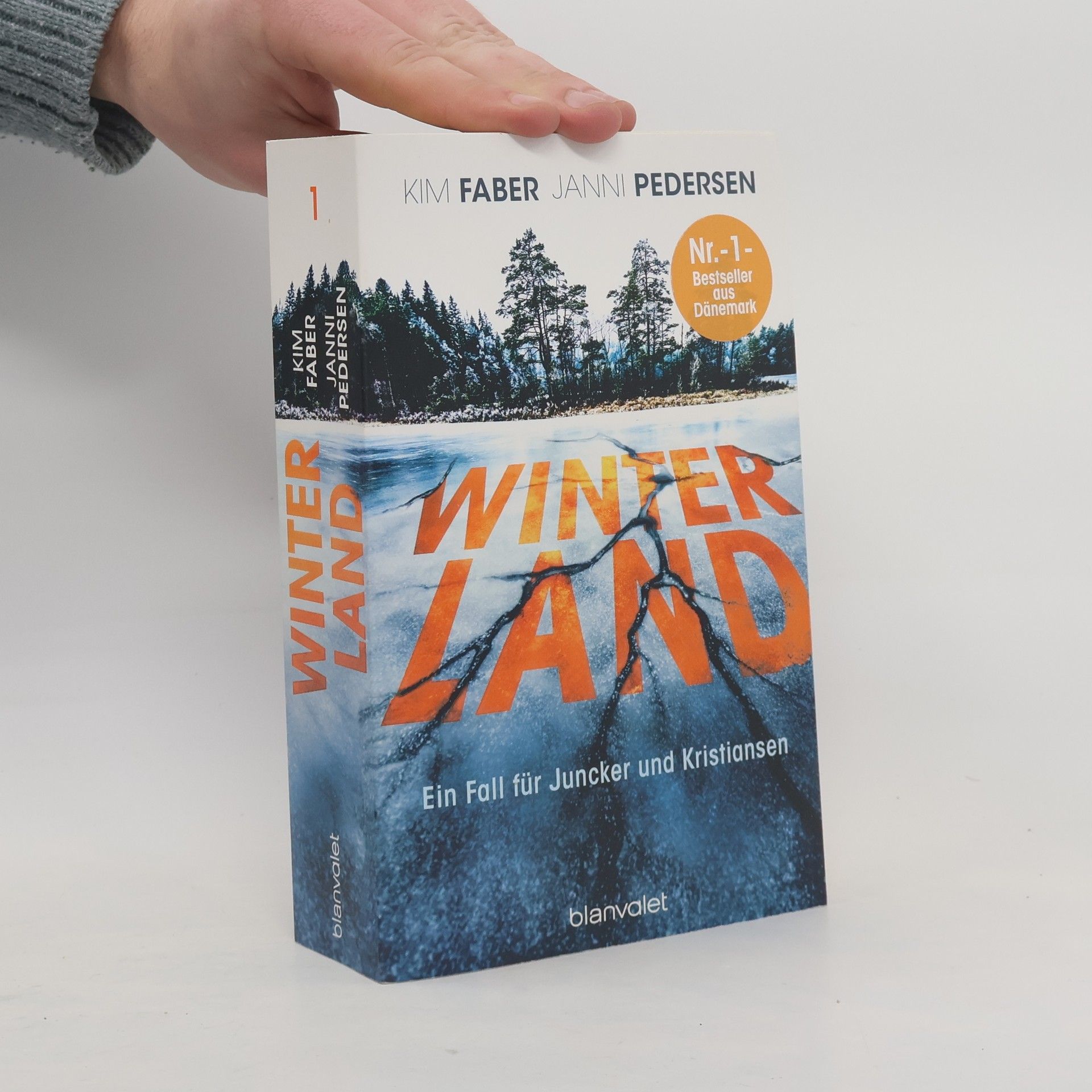 Kim Faber Winterland