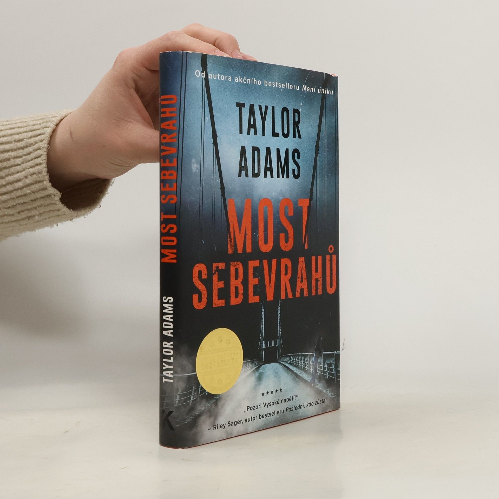 Taylor Adams Most sebevrahů