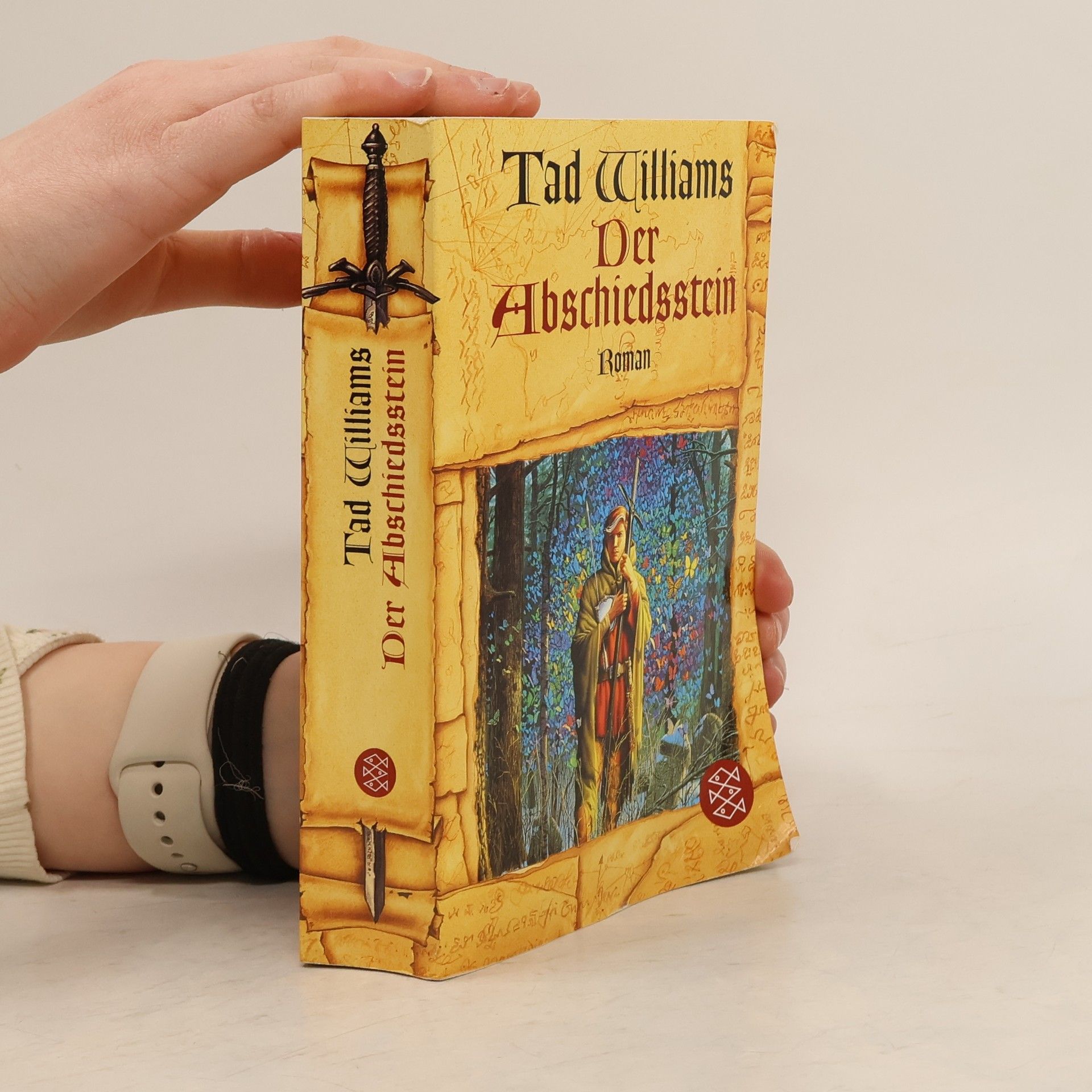 Tad Williams Das Geheimnis der Großen Schwerter: Vier Bände im box