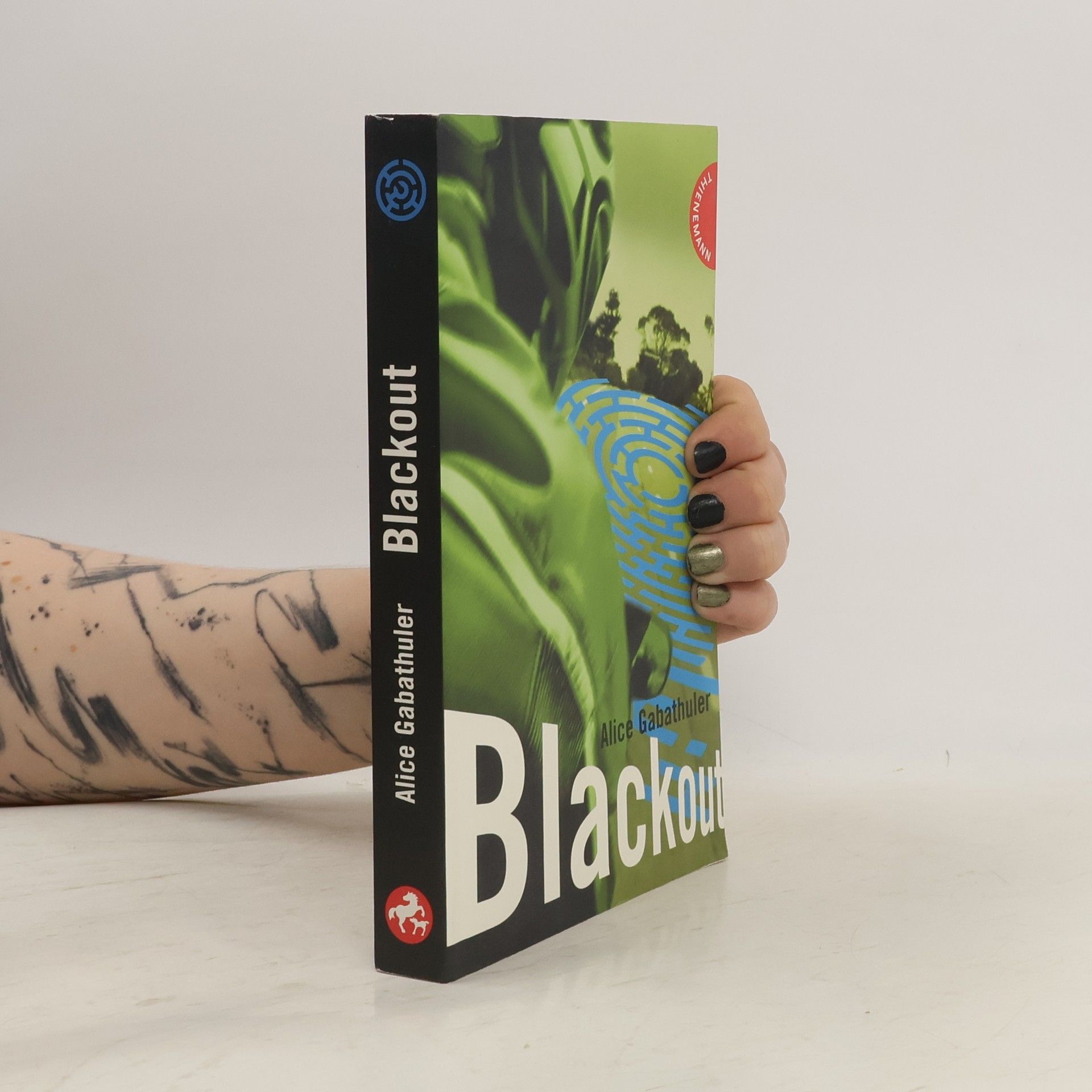 Alice Gabathuler Blackout