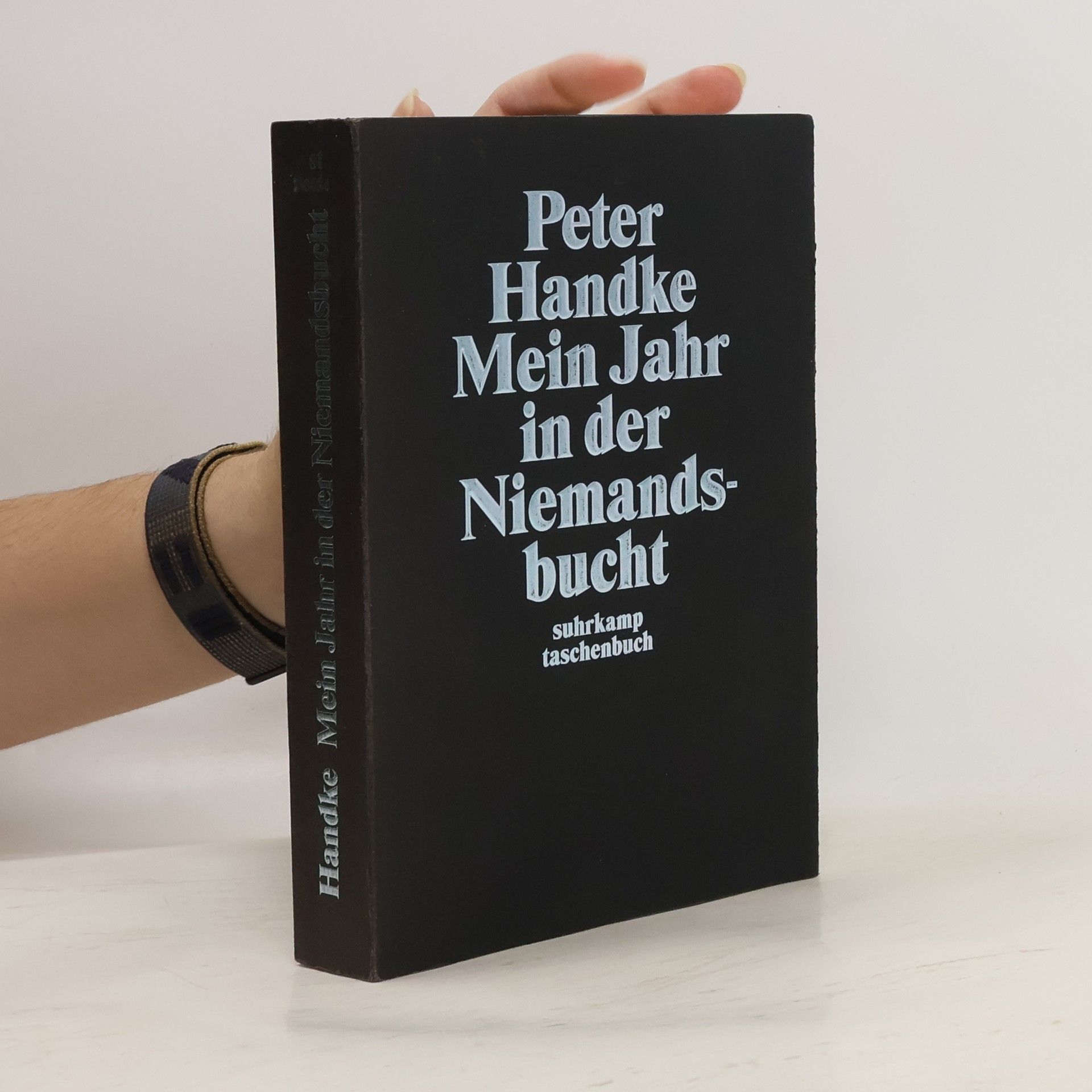 kolektiv Peter Handke Mein Jahr in der Niemandsbucht