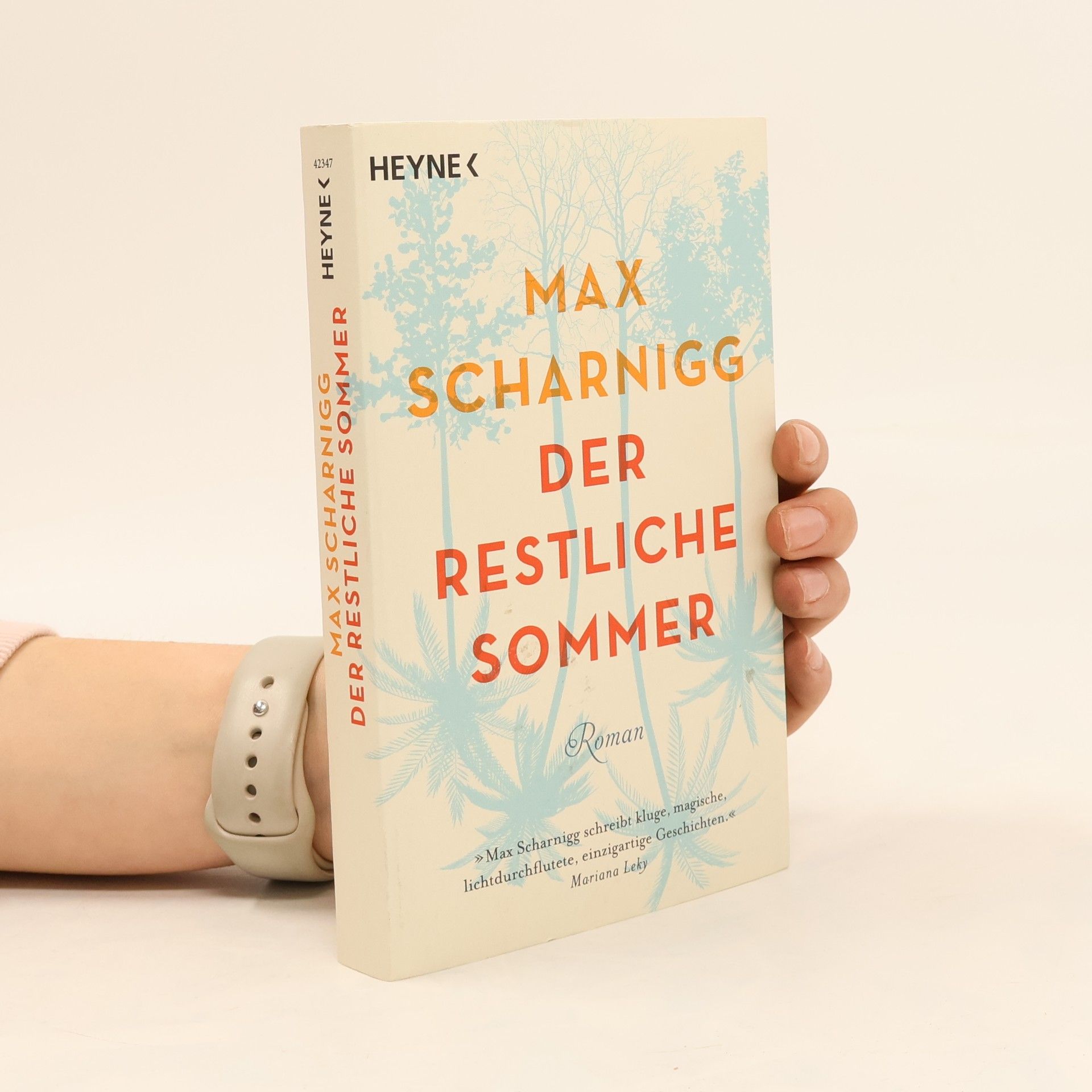 Max Scharnigg Der restliche Sommer