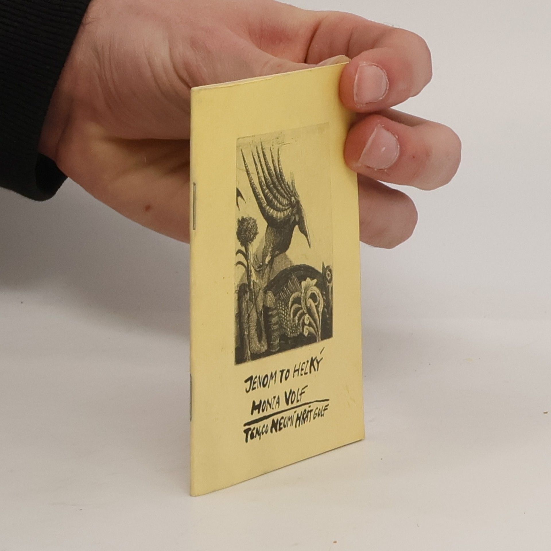 Honza Volf Jenom to hezký