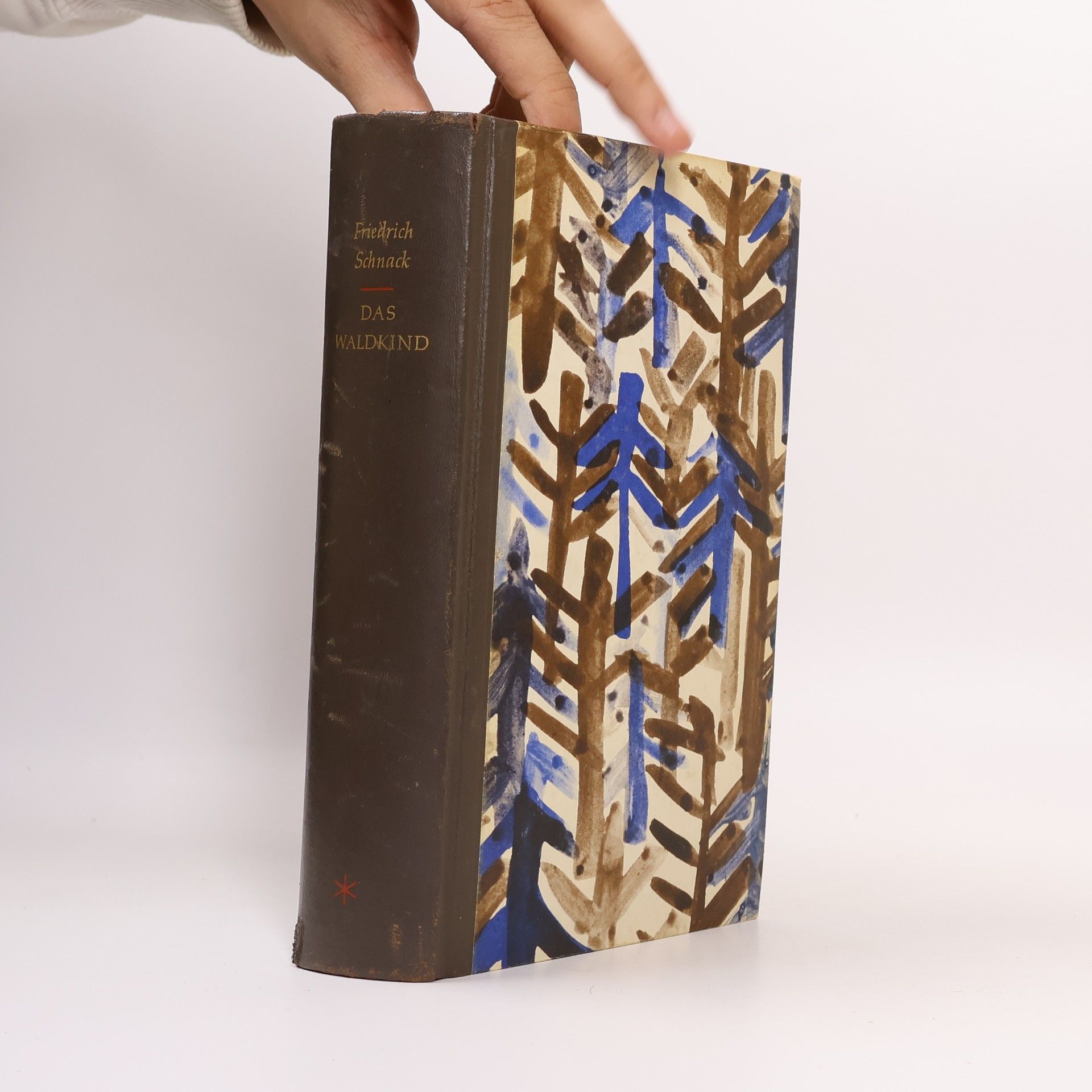 Friedrich Schnack Das Waldkind