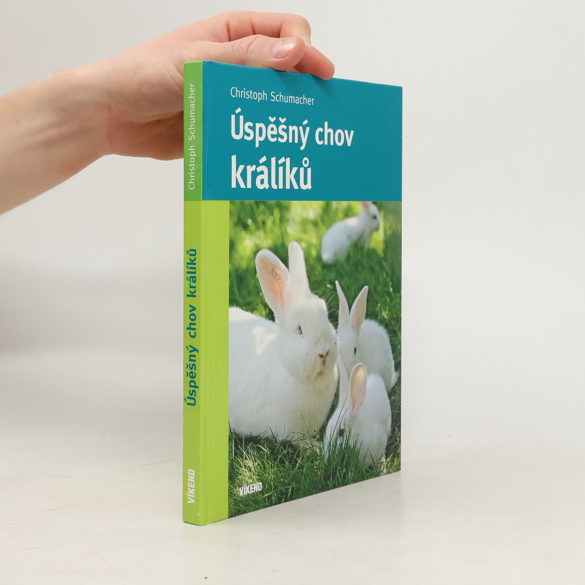 Úspěšný chov králíků