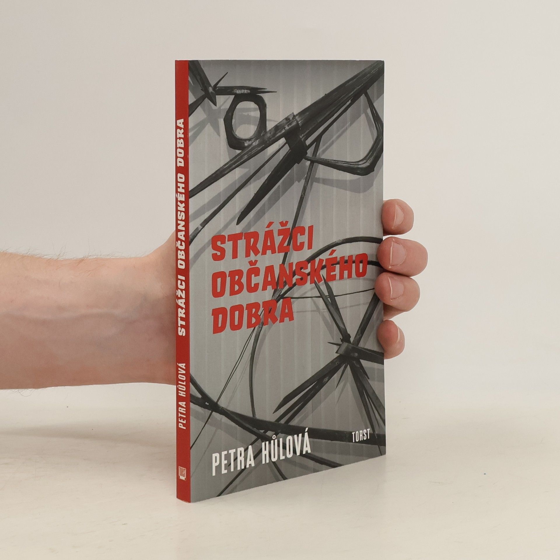 Petra Hůlová Strážci občanského dobra