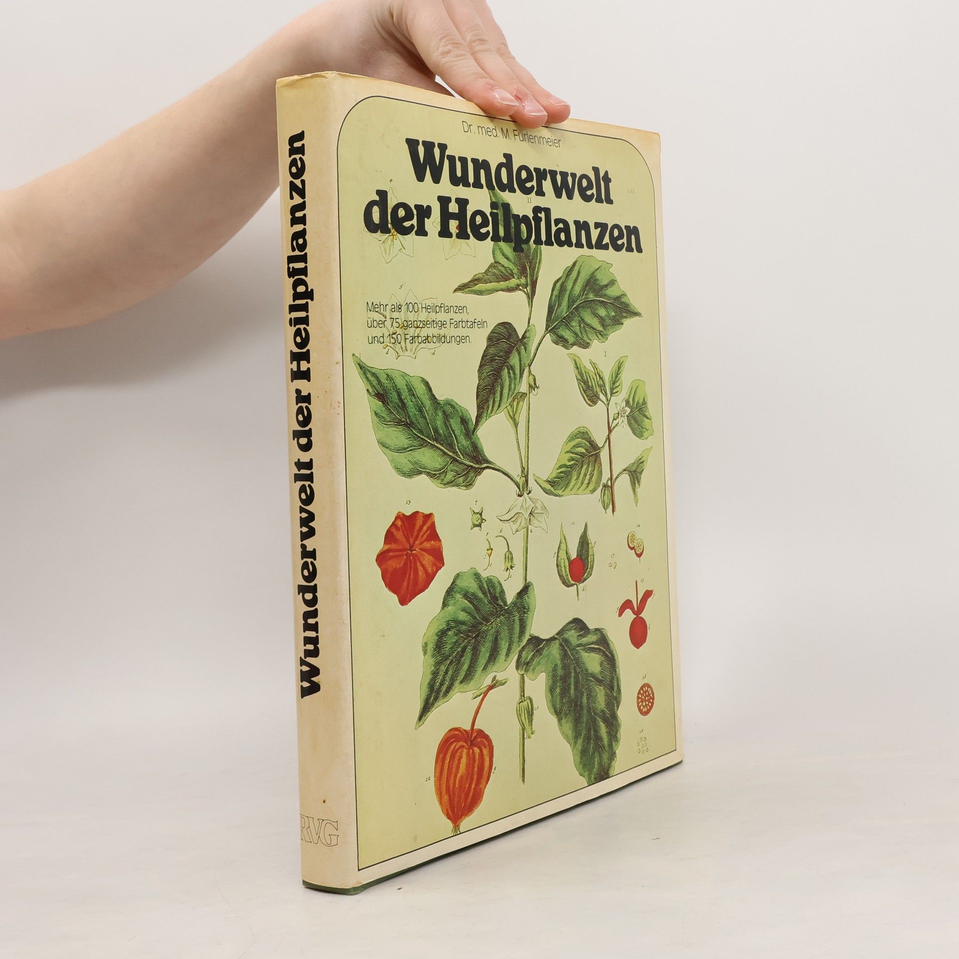 Martin Furlenmeier Wunderwelt der Heilpflanzen
