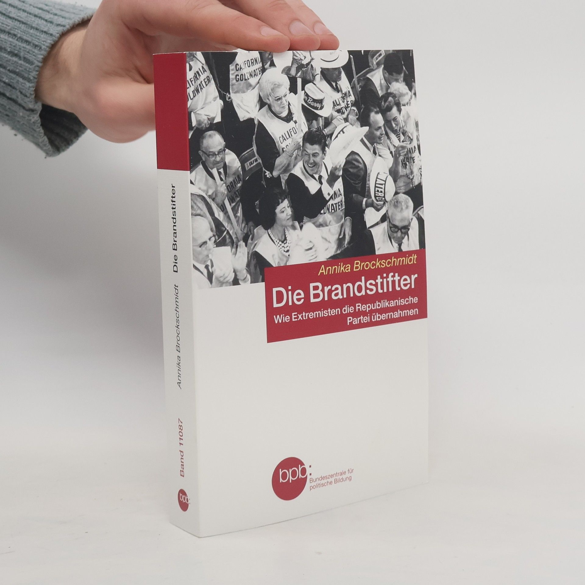 Annika Brockschmidt Die Brandstifter