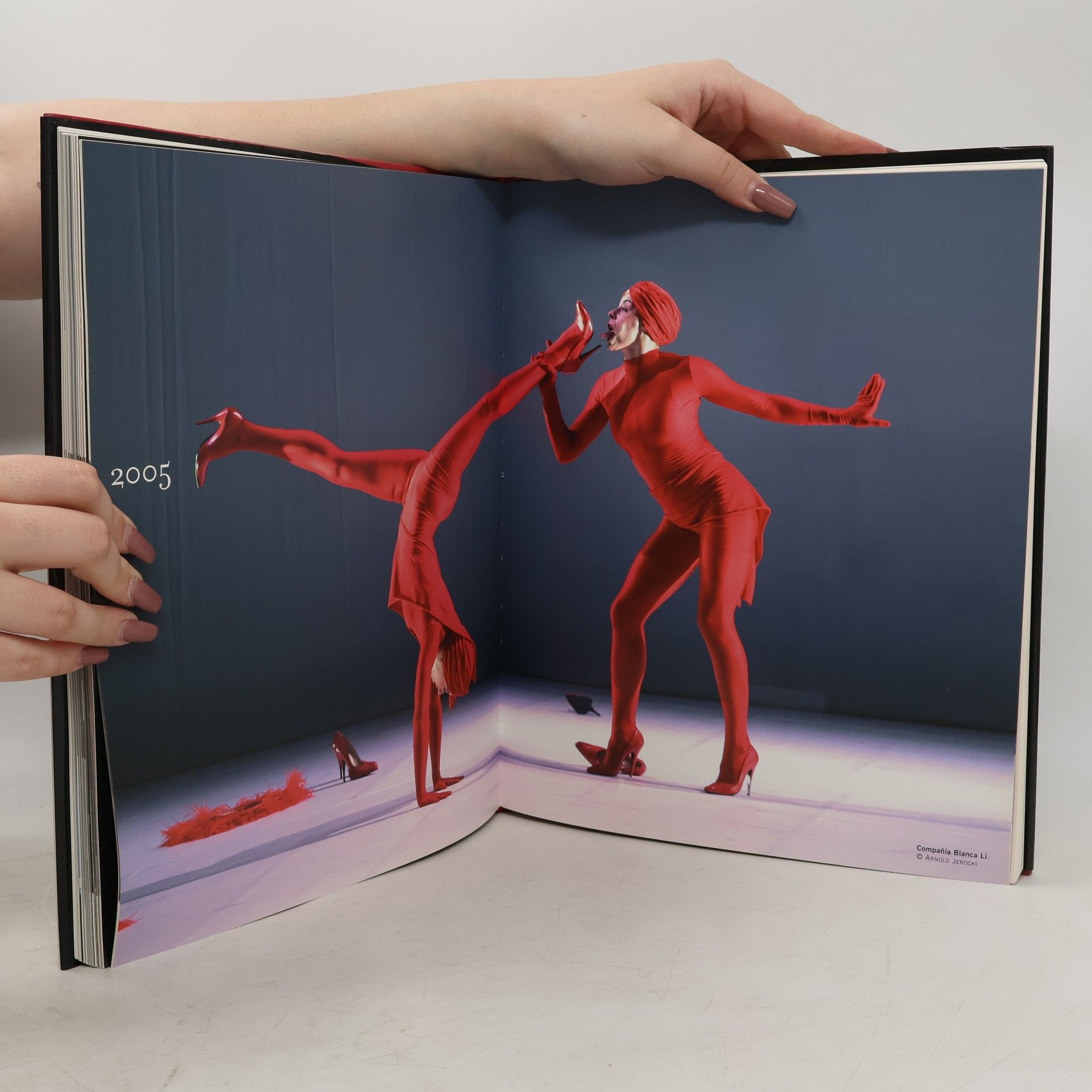 AA.VV. Madrid en 20 anos Danza
