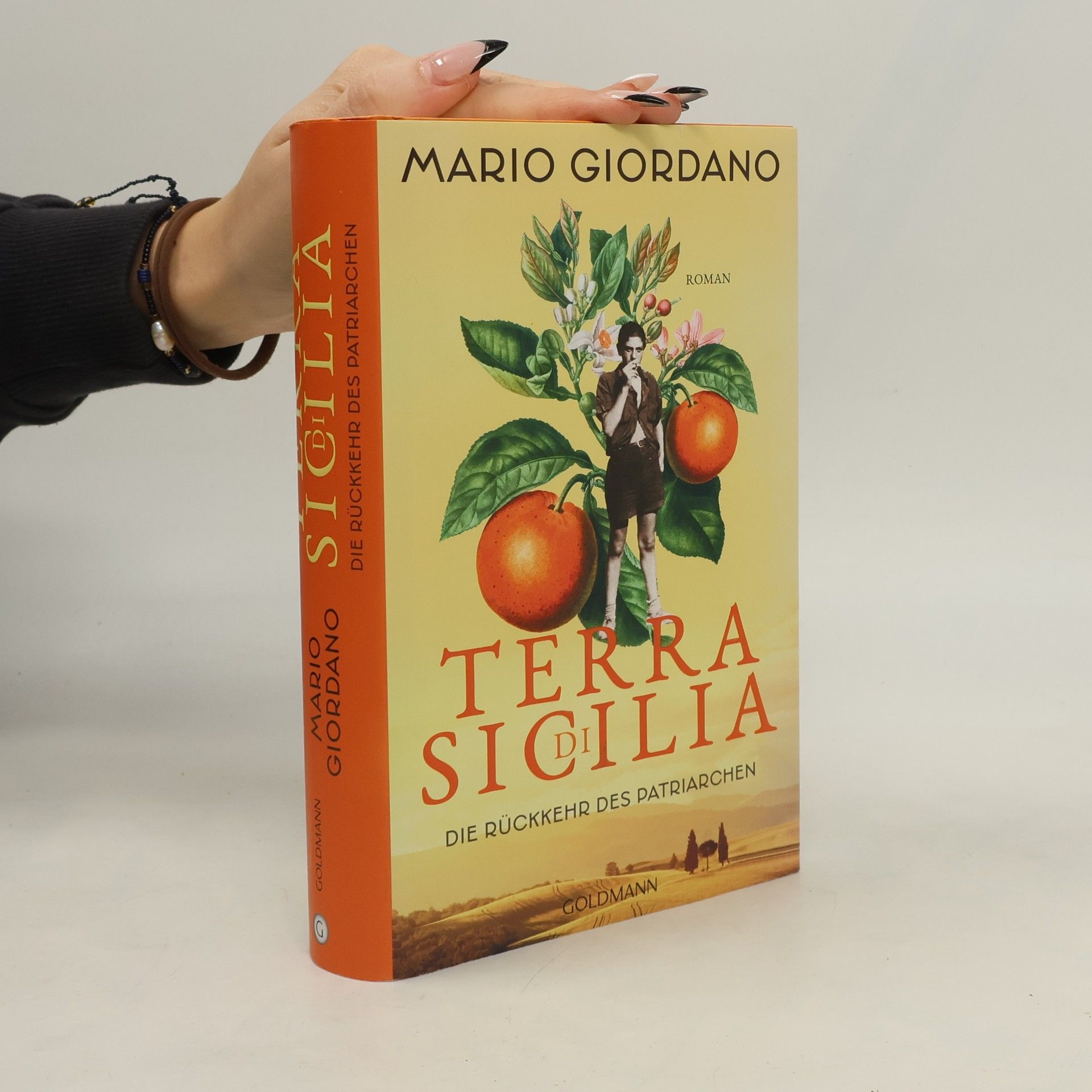 Mario Giordano Terra di Sicilia - die Rückkehr des Patriarchen