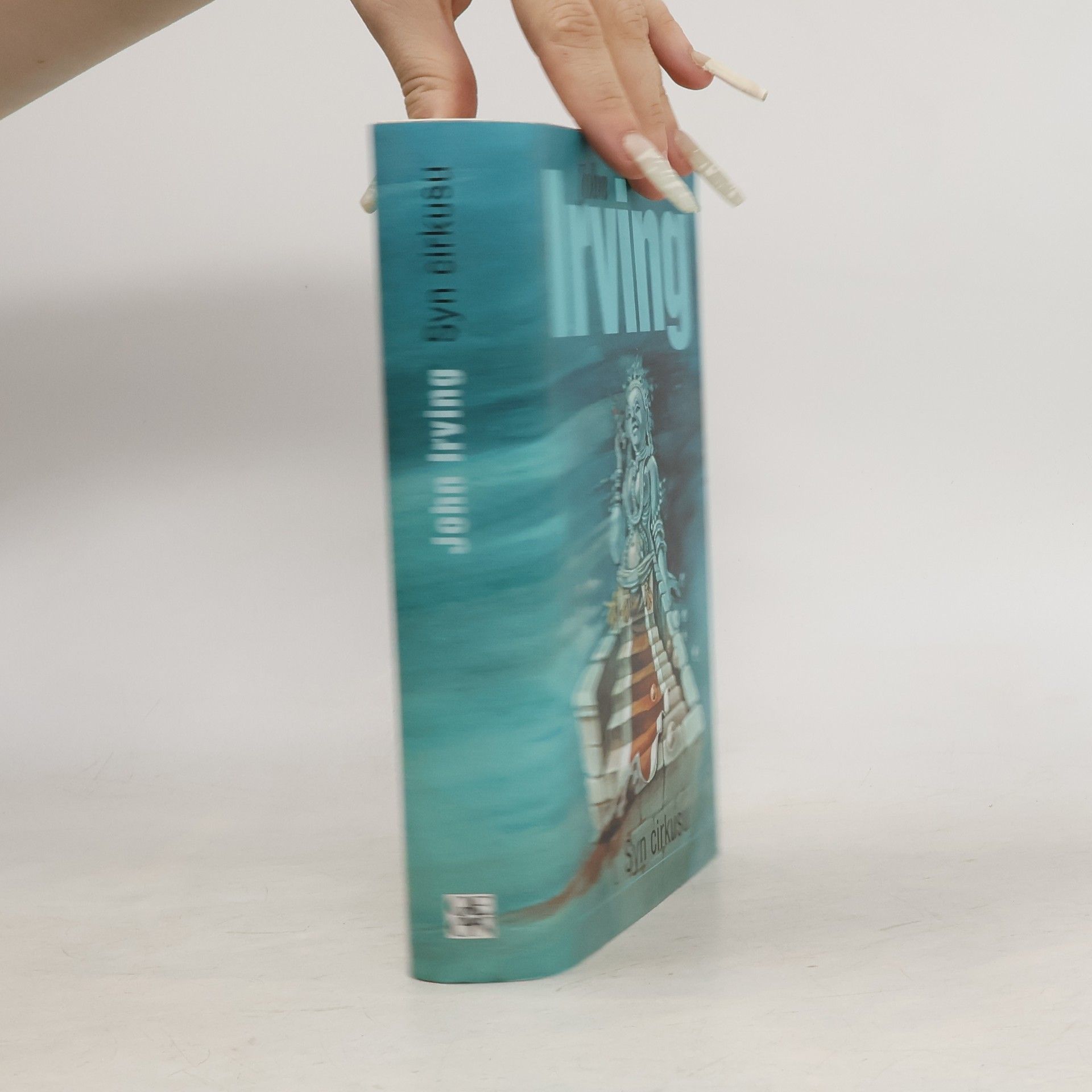 John Irving Syn cirkusu