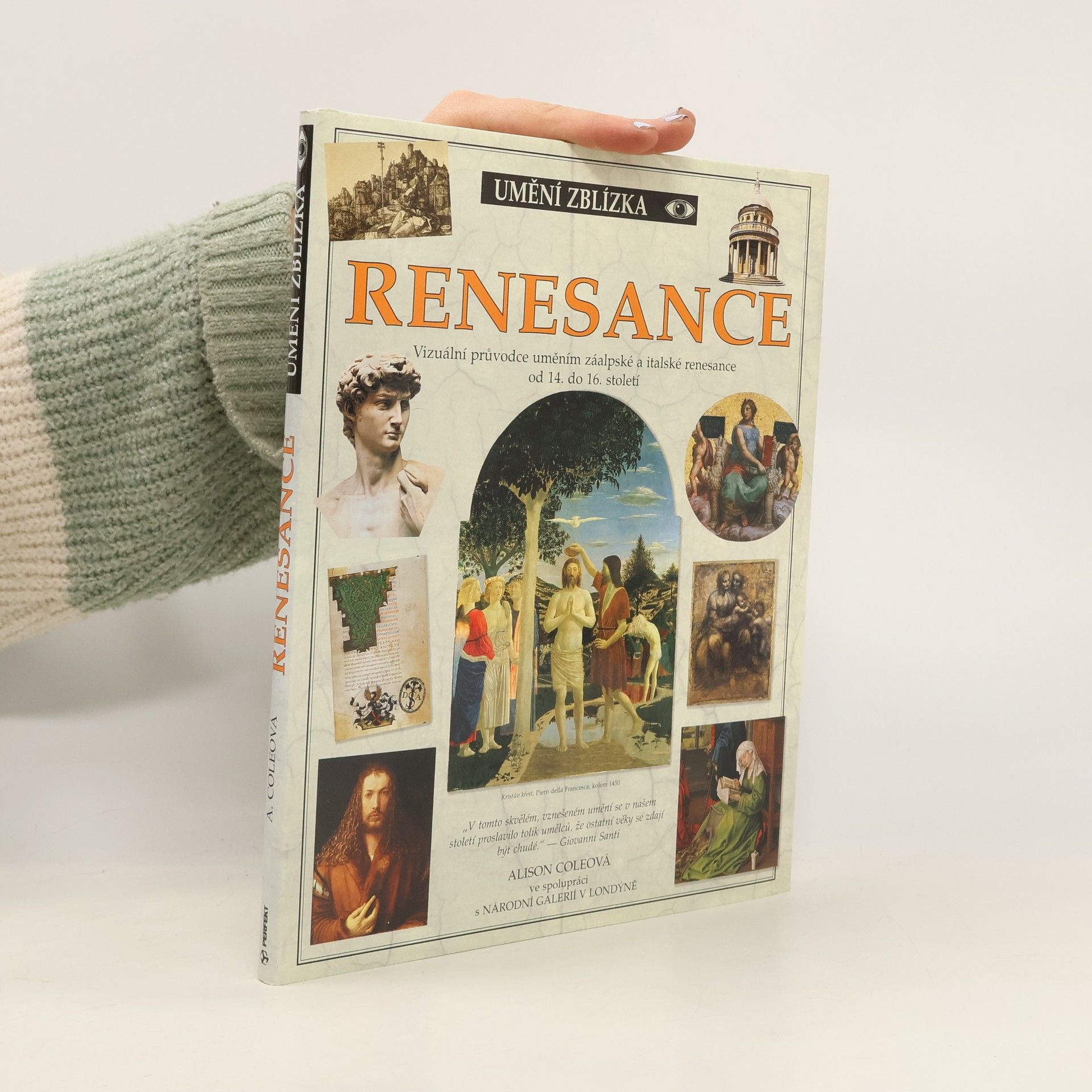 Alison Cole Renesance