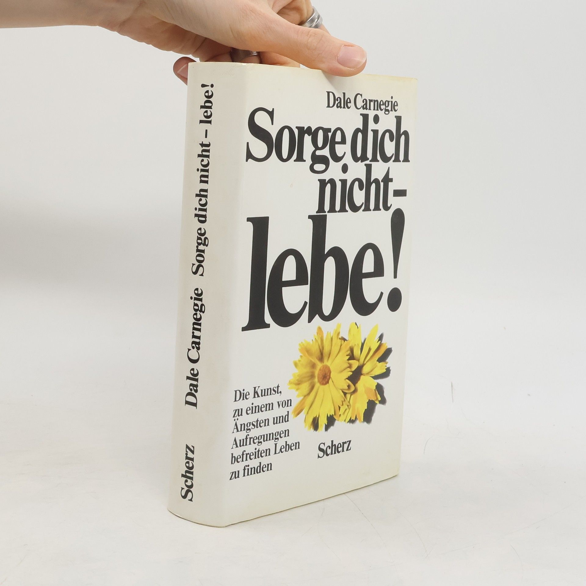 Dale Carnegie Sorge dich nicht - lebe!