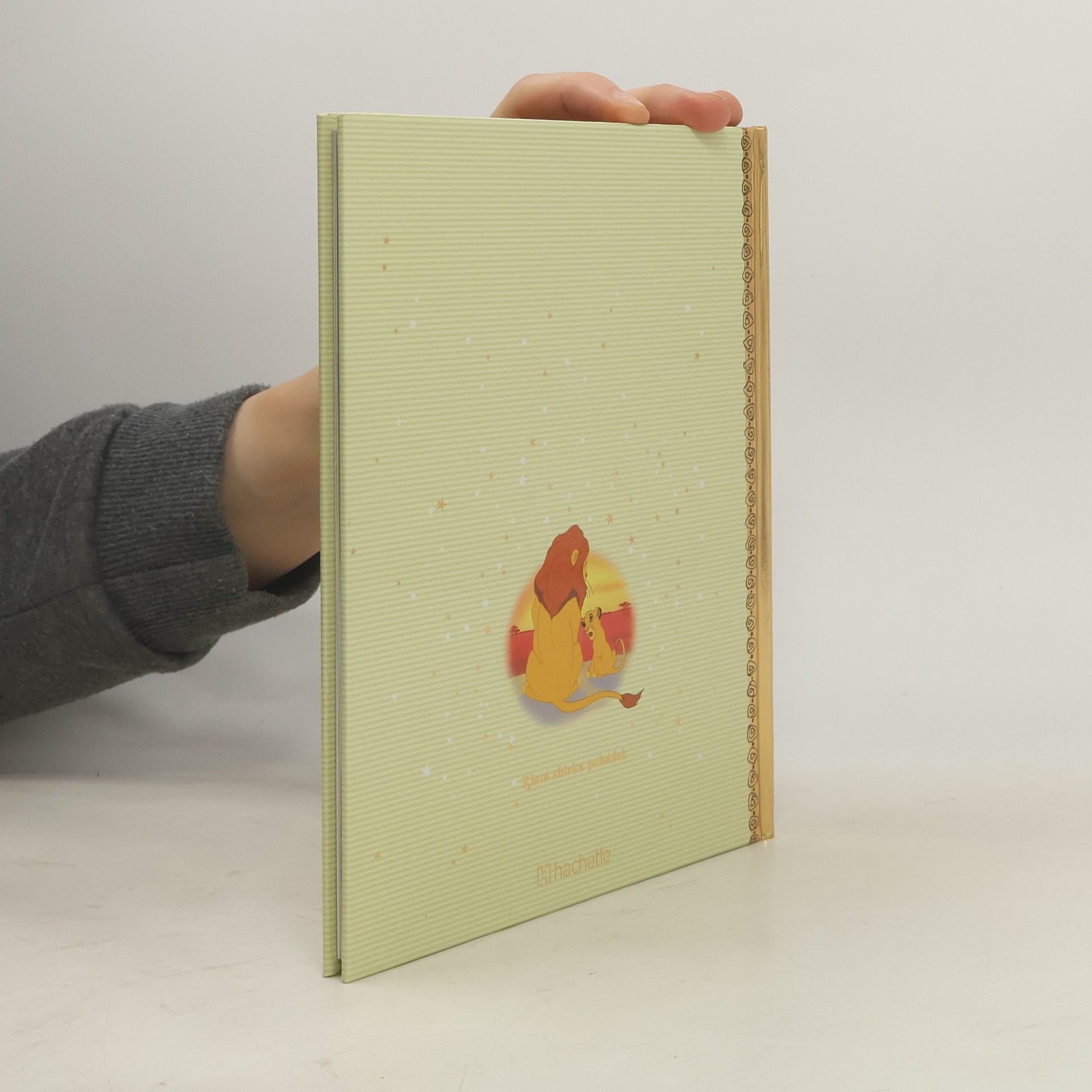 Collectif d'auteurs Zlatá sbírka pohádek 1. Lví král