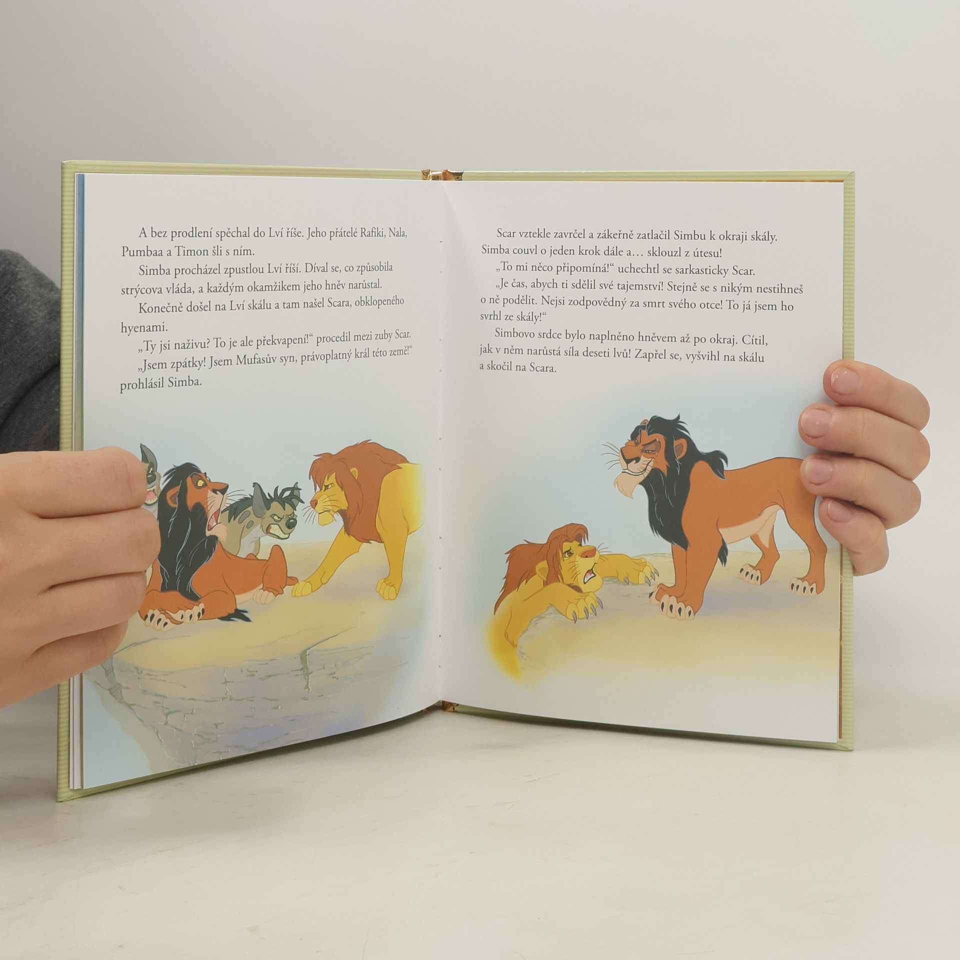 Collectif d'auteurs Zlatá sbírka pohádek 1. Lví král