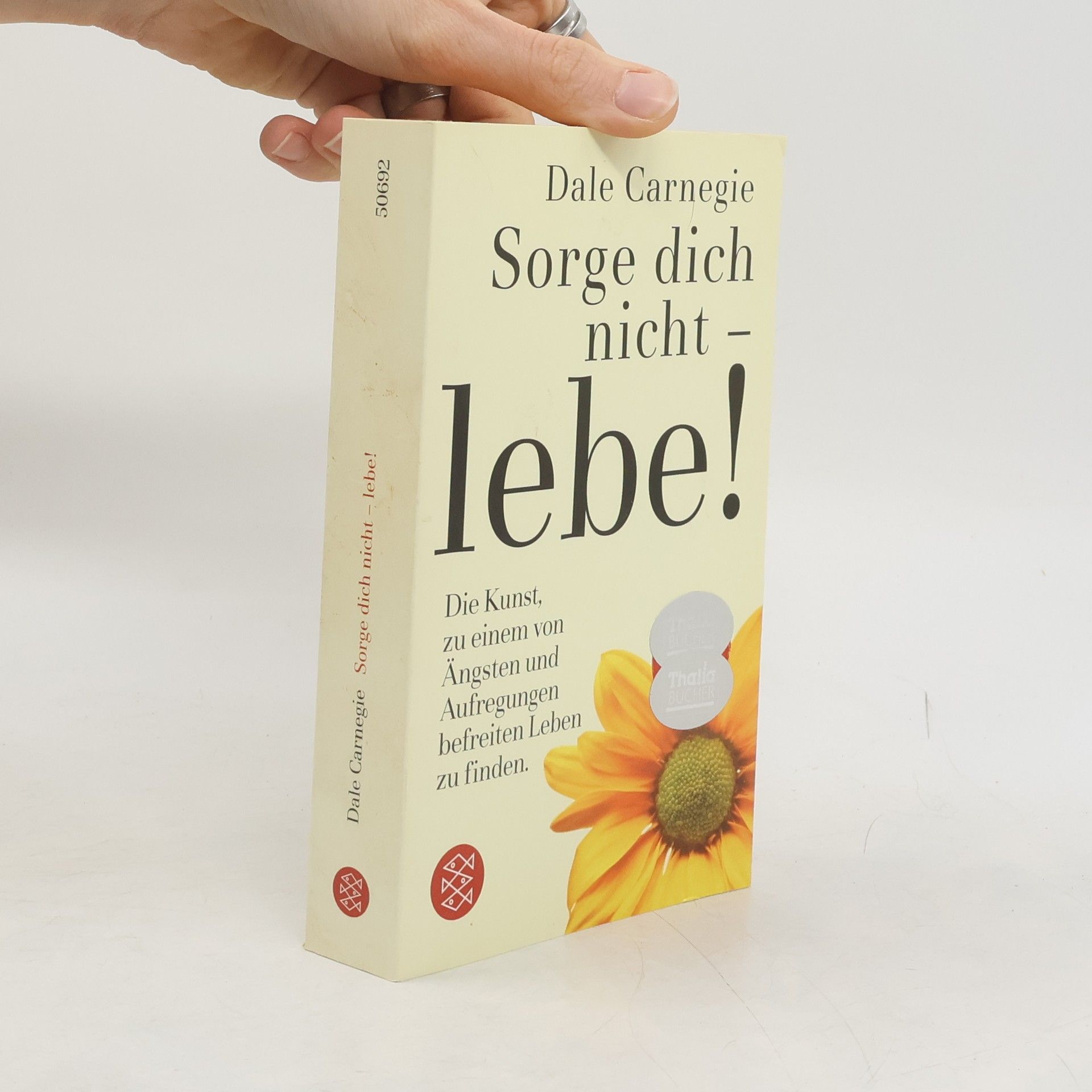 Dale Carnegie Sorge dich nicht - lebe!