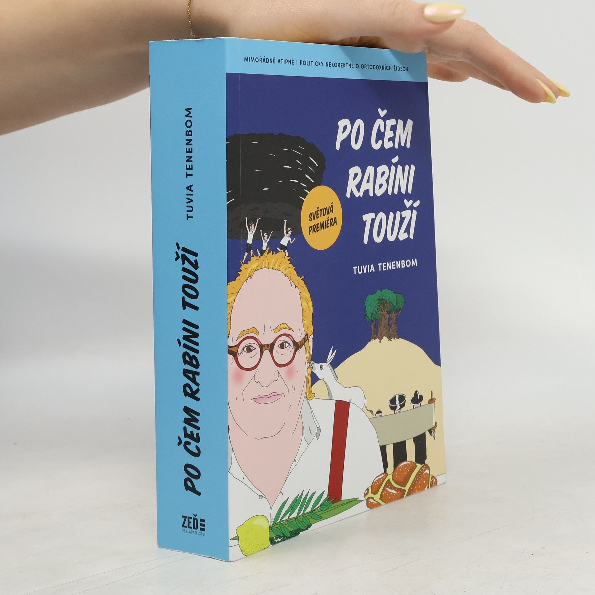 Tuvia Tenenbom Po čem rabíni touží : mimořádně vtipná i politicky nekorektní zpráva o ortodoxních Židech