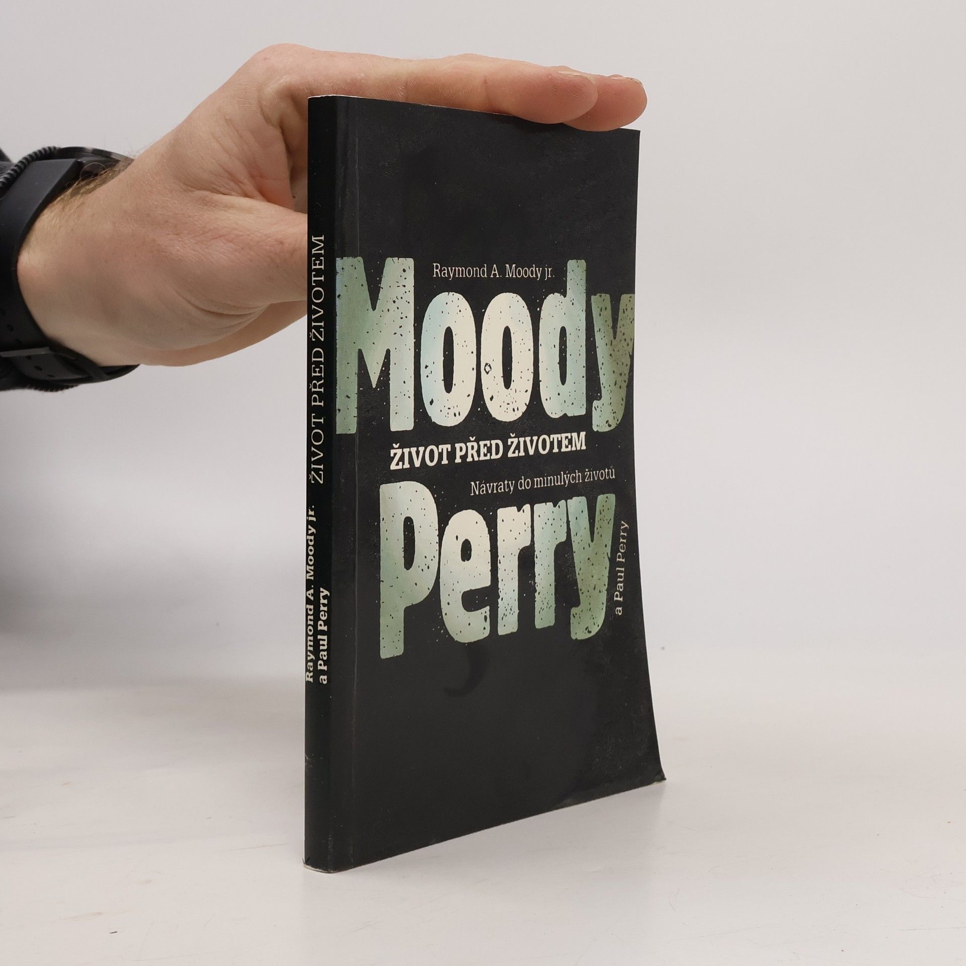 Raymond Moody Život před životem: Návraty do minulých životů