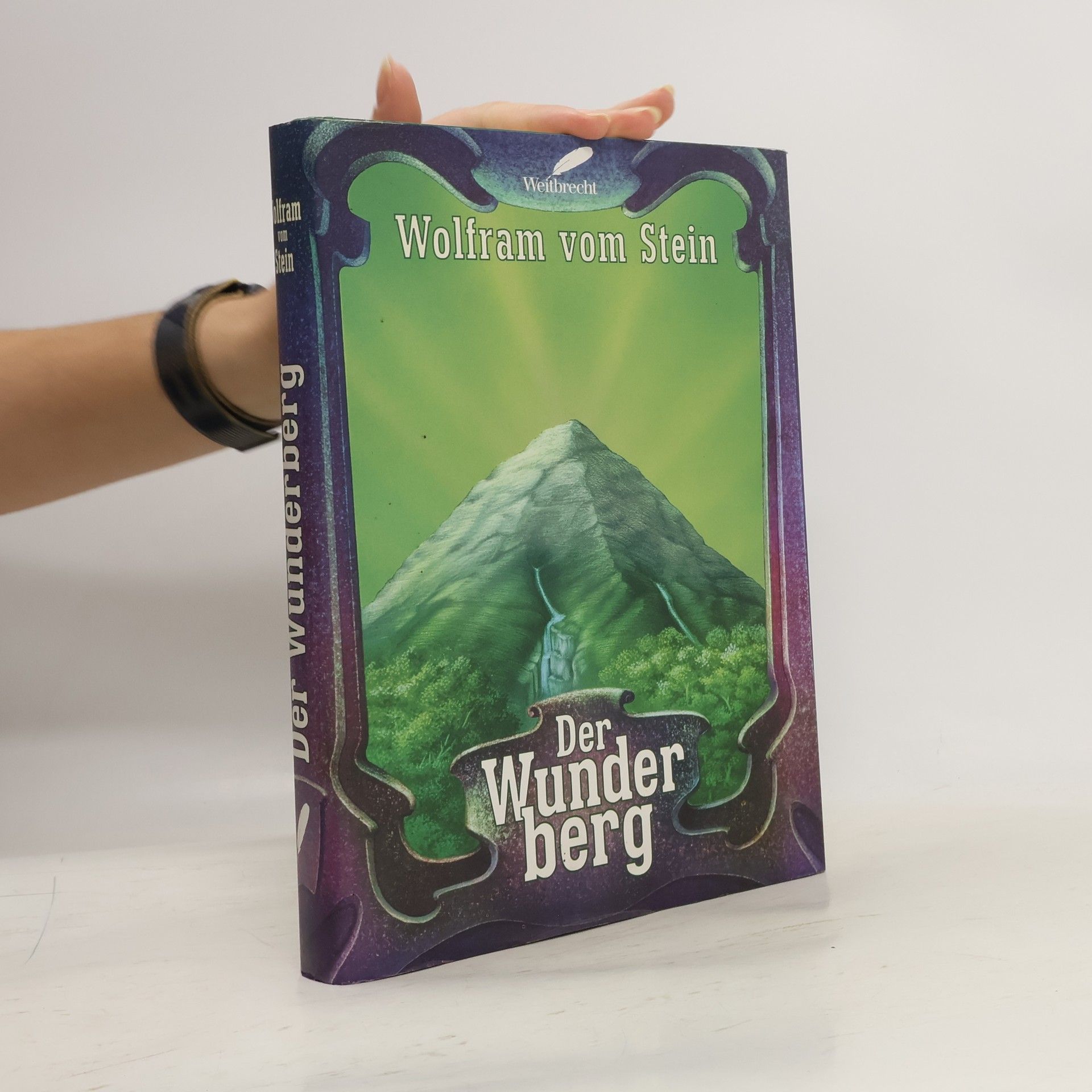 Wolfram vom Stein Der Wunderberg. Ein Märchenbuch