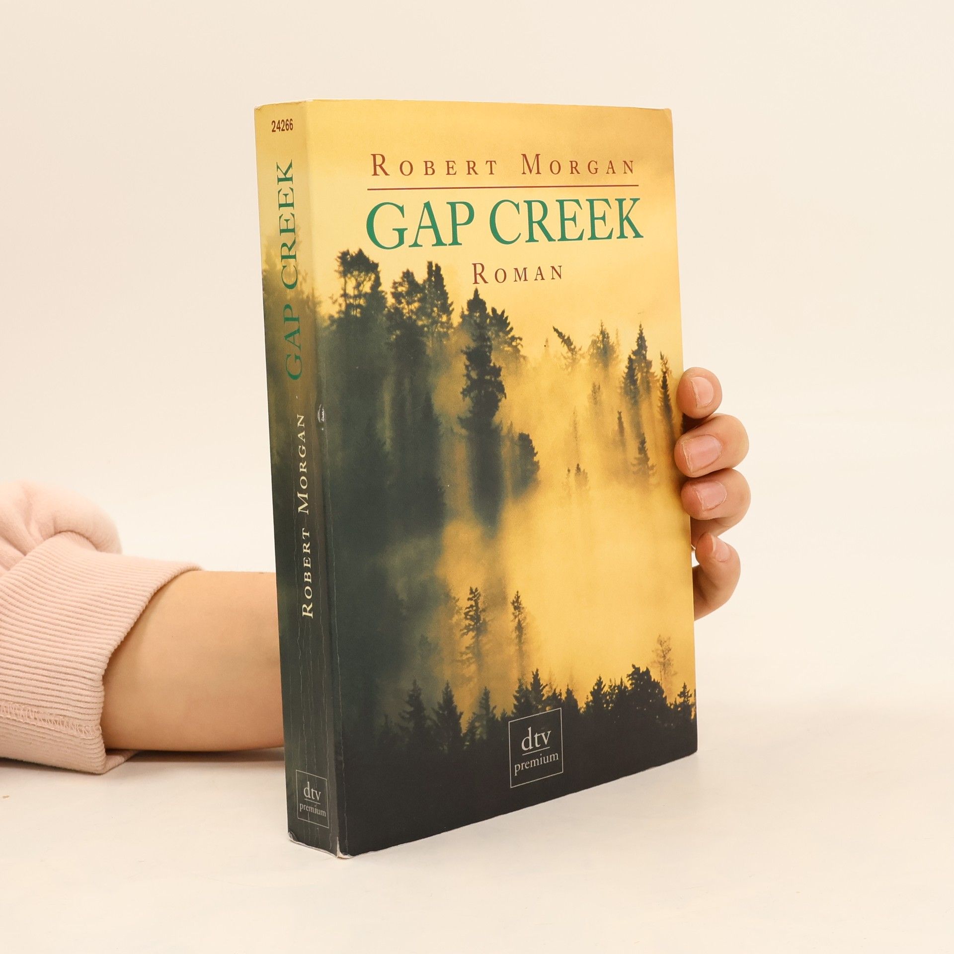 Robert Morgan Gap Creek