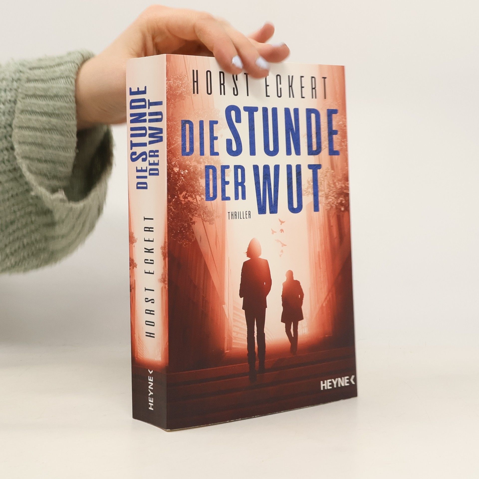 Horst Eckert Die Stunde der Wut