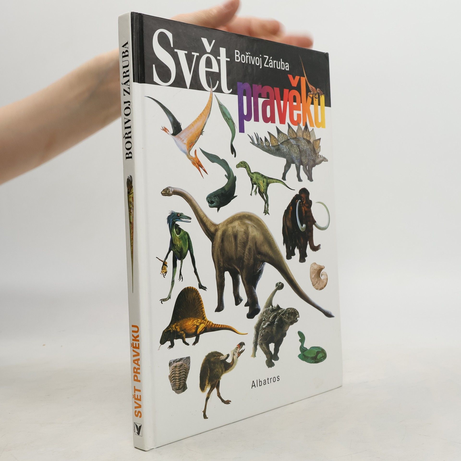 Bořivoj Záruba Svět pravěku