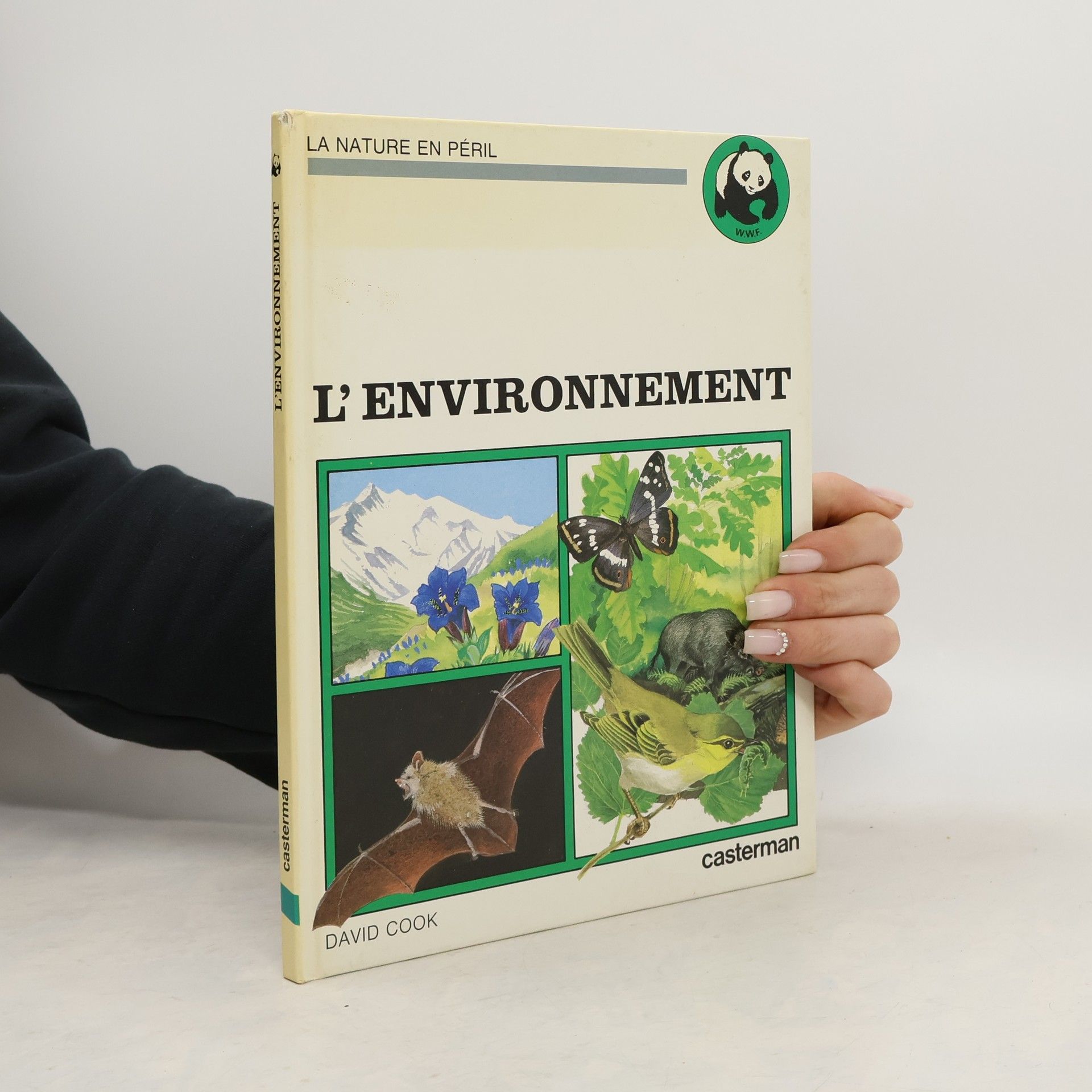 David Cook L'environnement