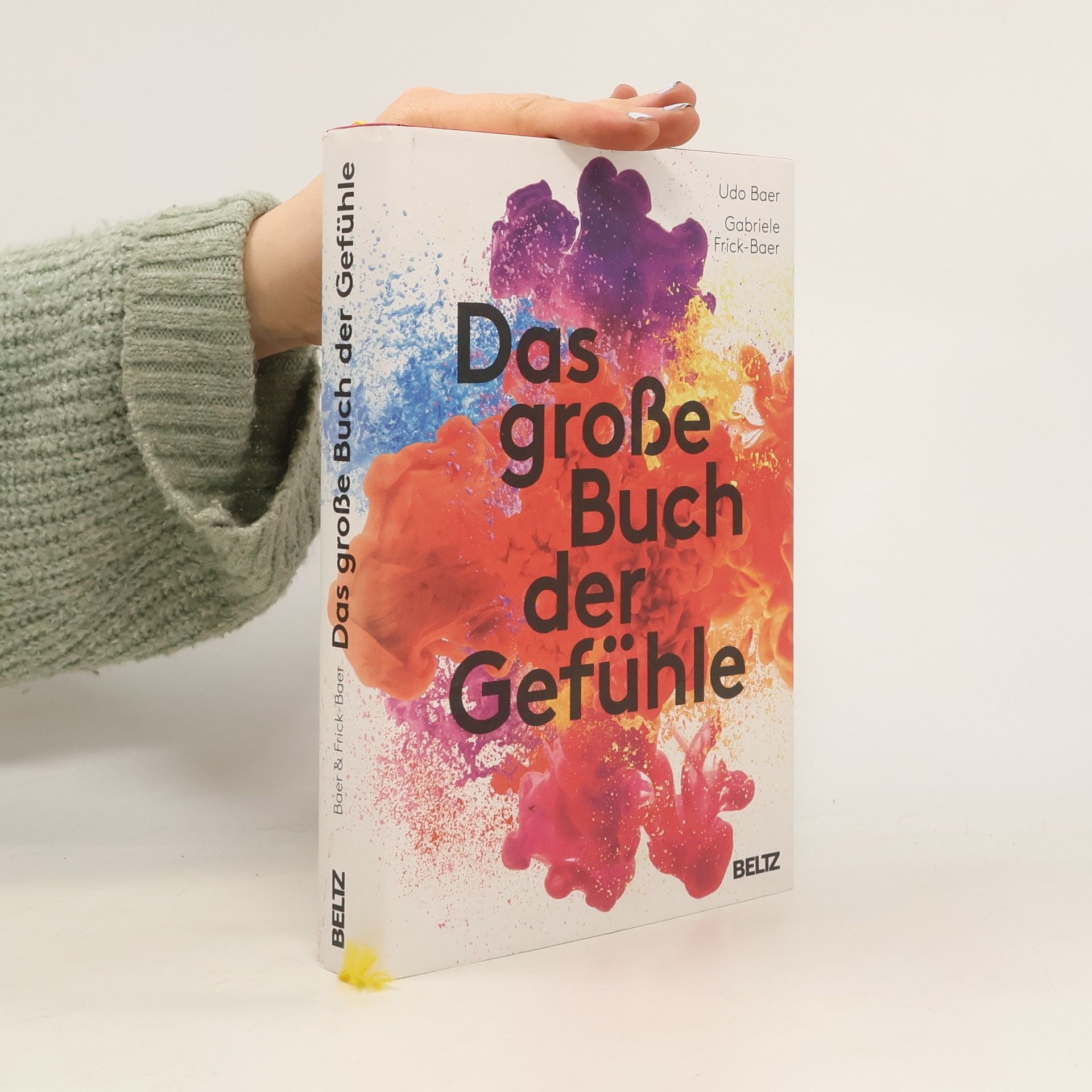 Das große Buch der Gefühle
