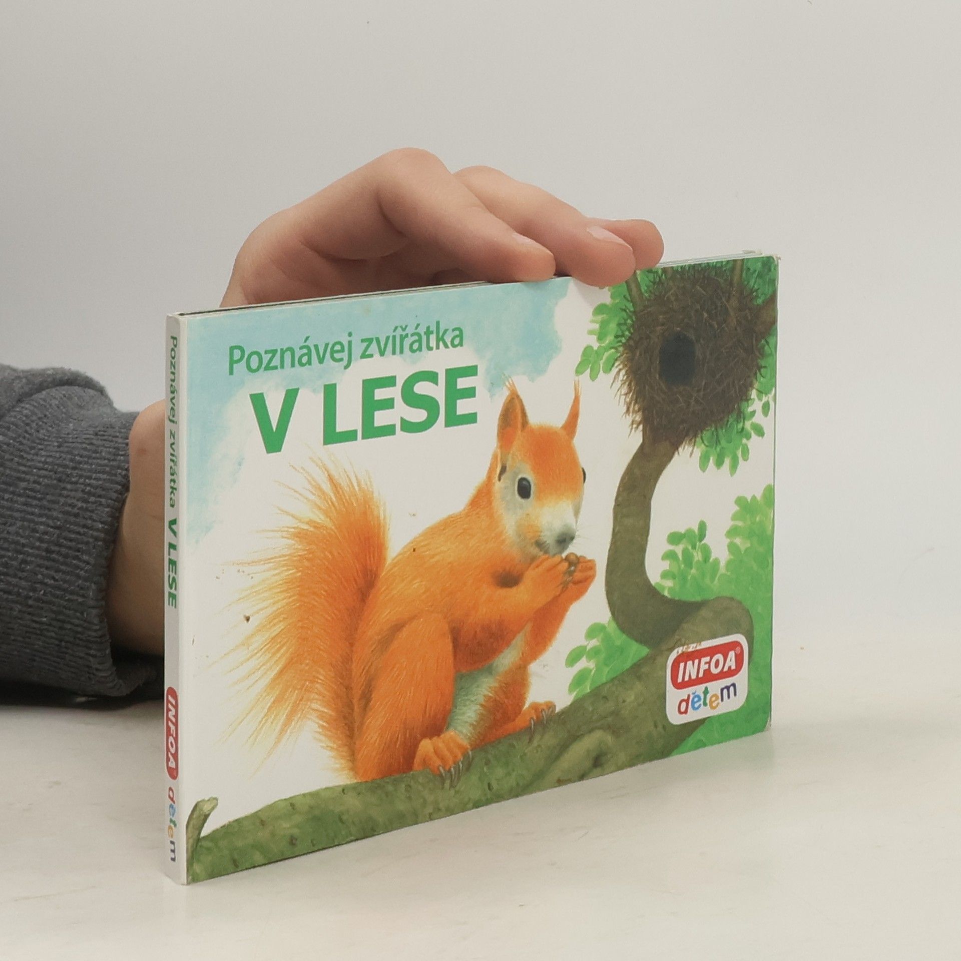 kolektiv Poznávej zvířátka V lese