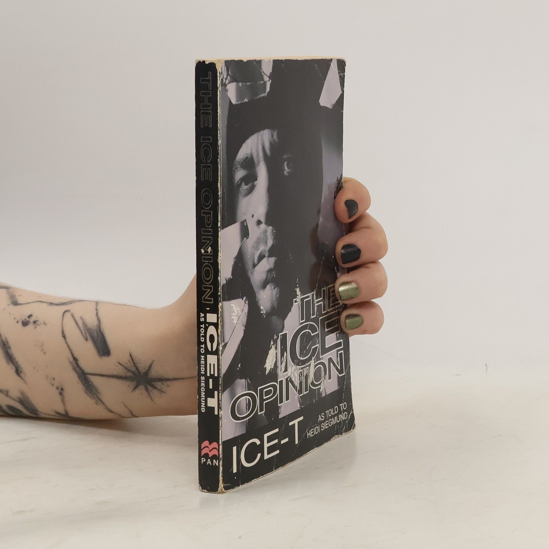 Ice-T The Ice Opinion