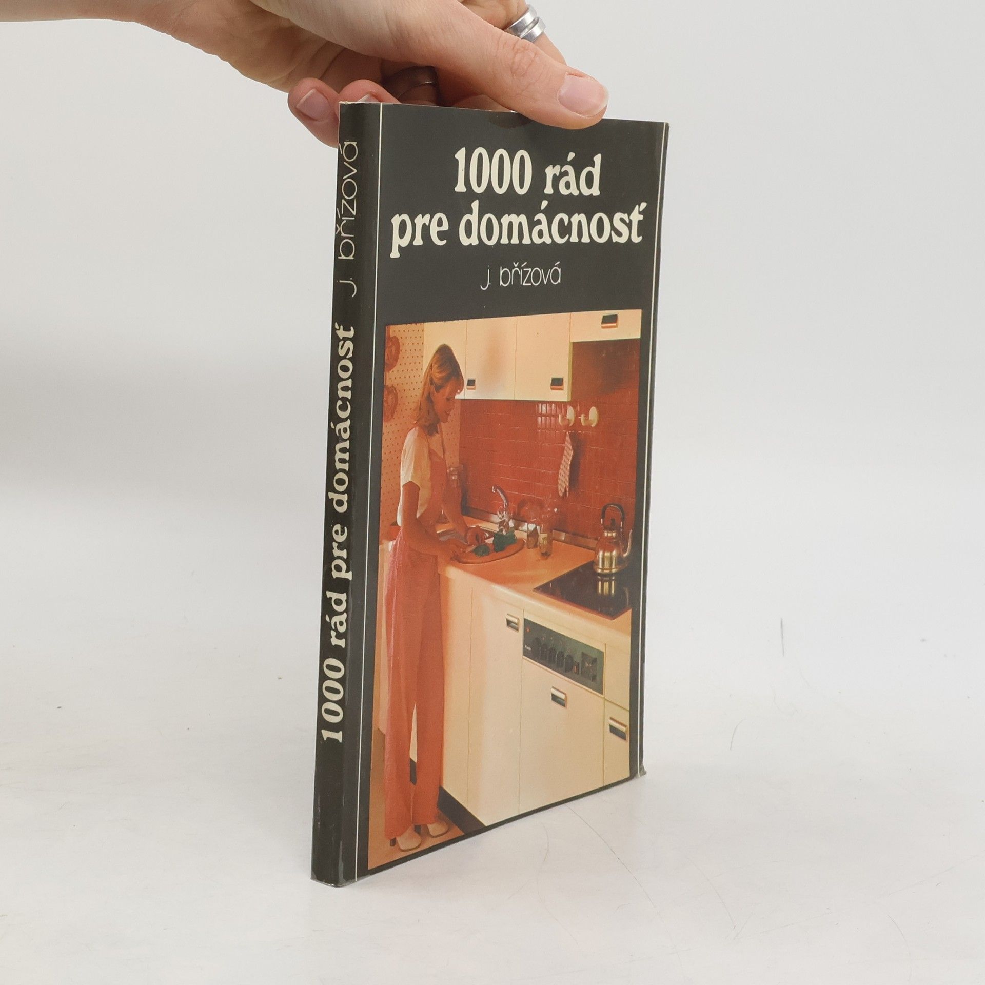 J. Břízová 1000 rád pre domácnosť