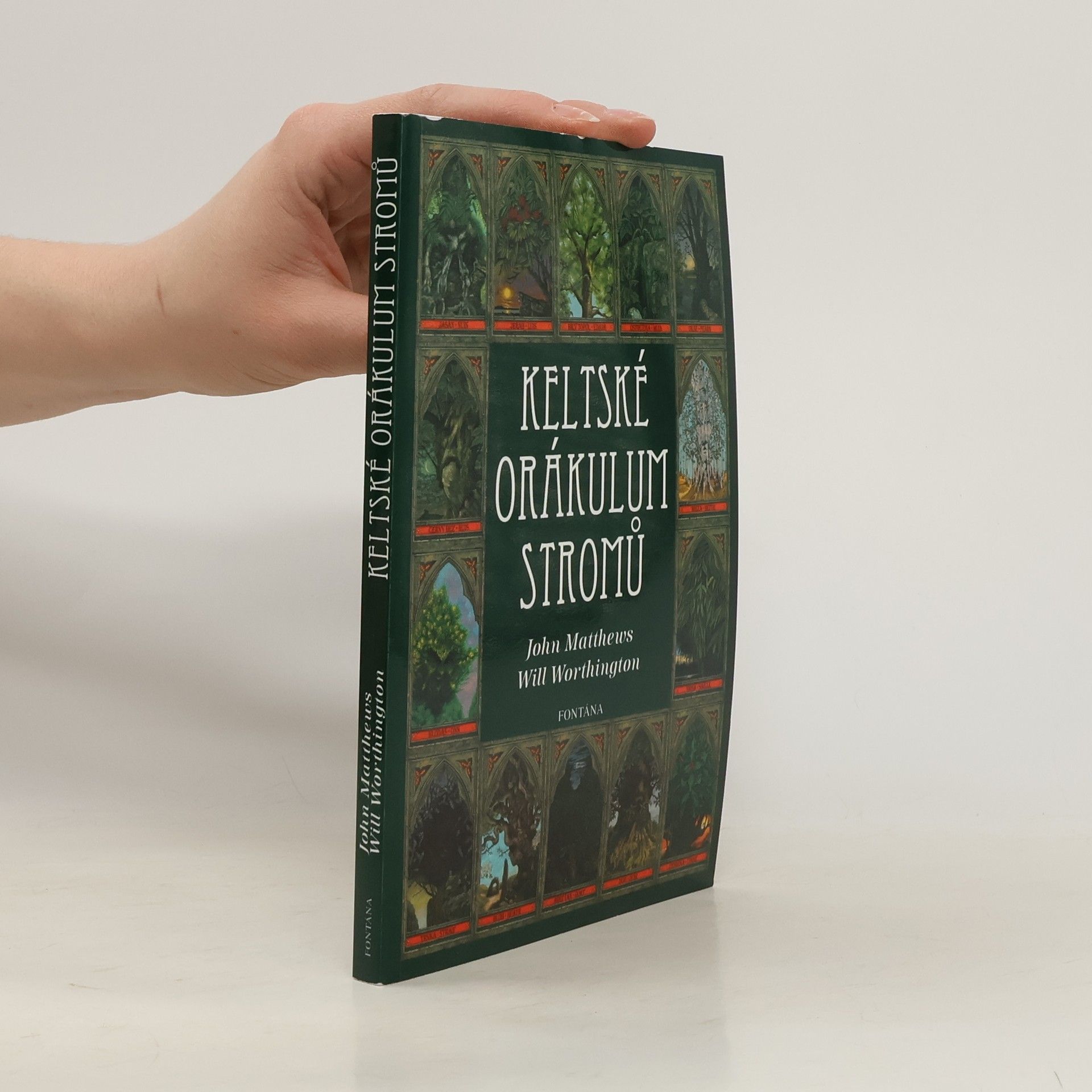 John Matthews Keltské orákulum stromů