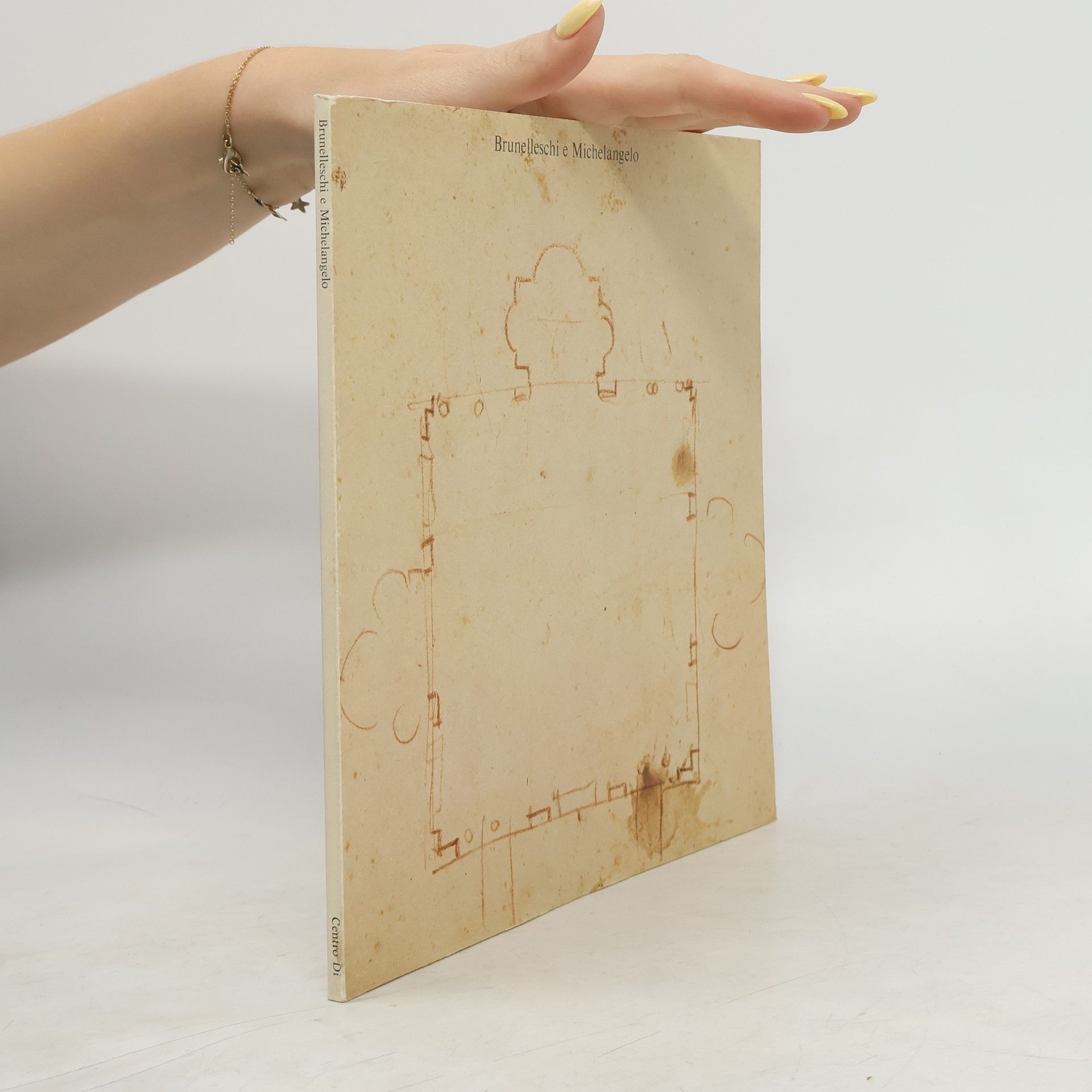 Various authors Brunelleschi e Michelangelo