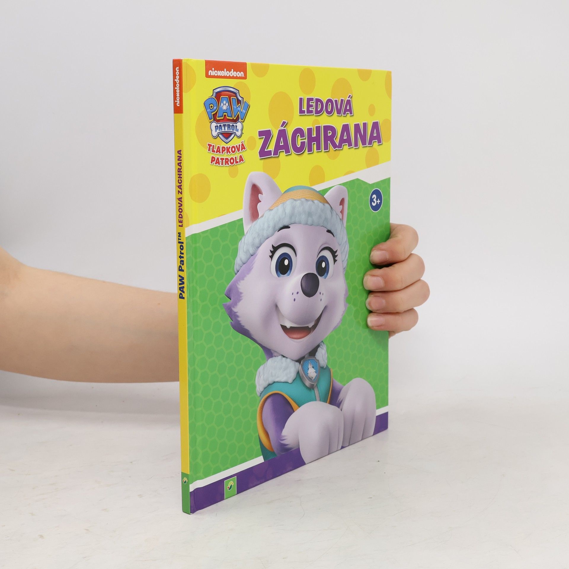 Kolektiv autorů Tlapková patrola. Ledová záchrana