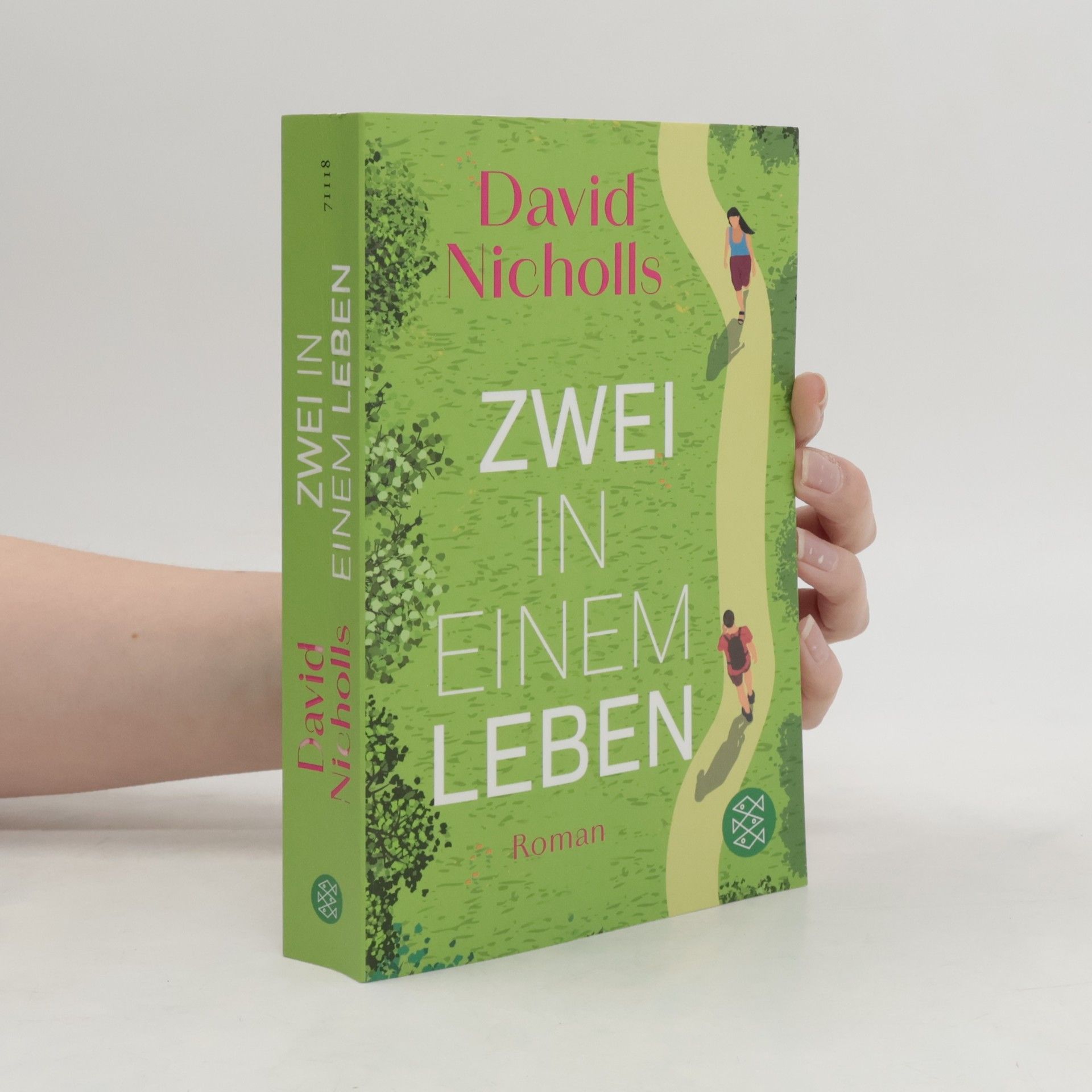 David Nicholls Zwei in einem Leben