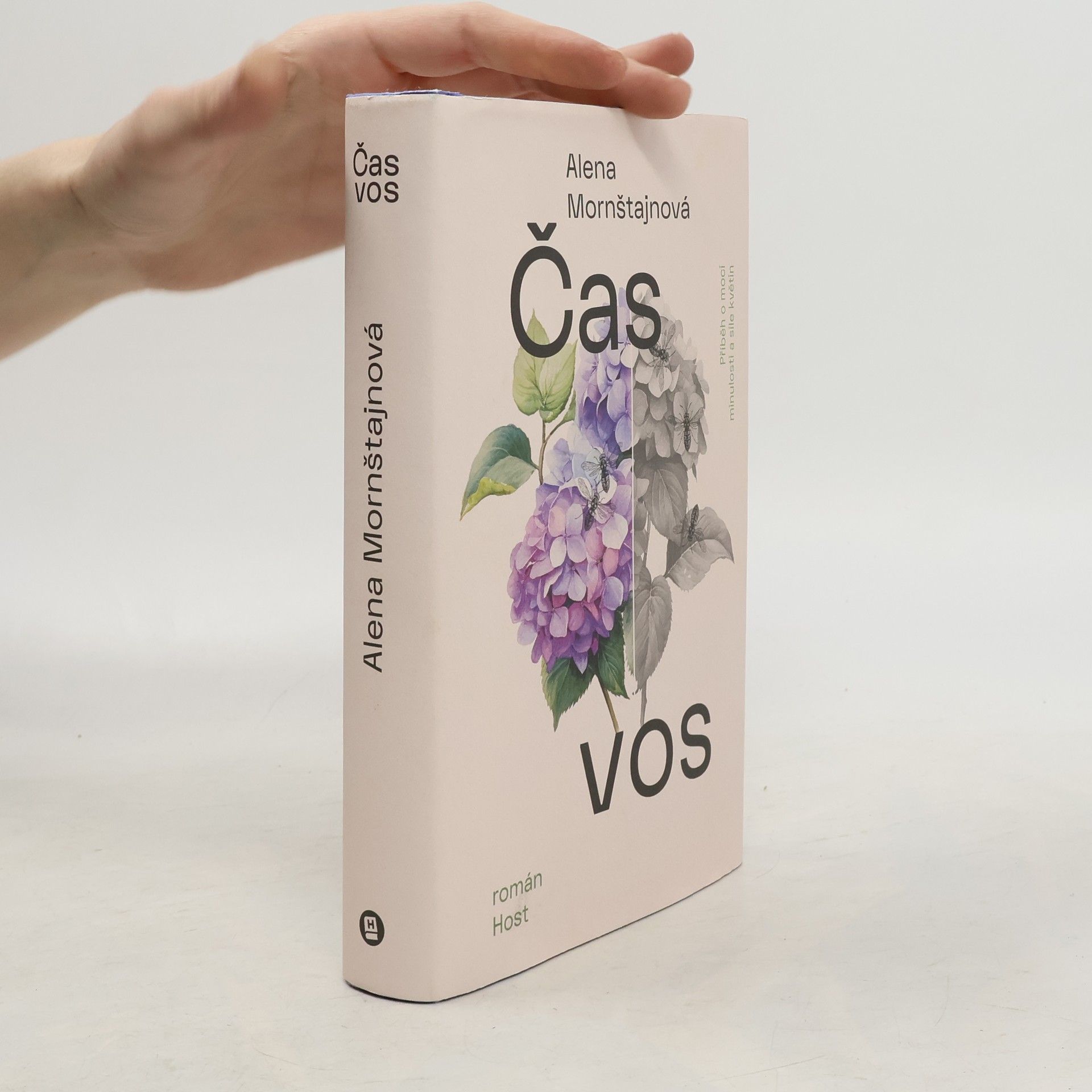 Alena Mornštajnová Čas vos